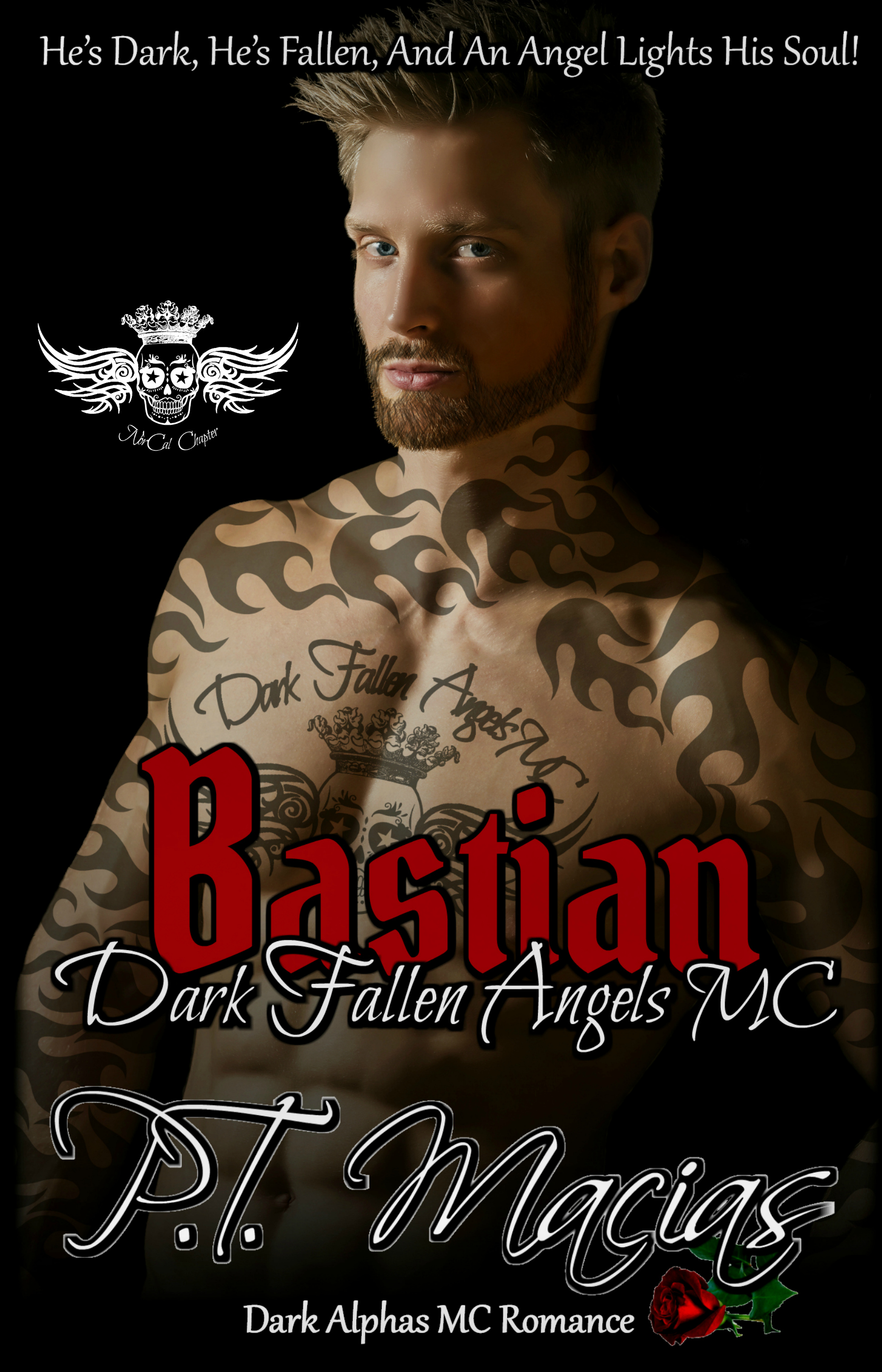Dark Fallen Angels MC: NorCal Chapter book cover 1