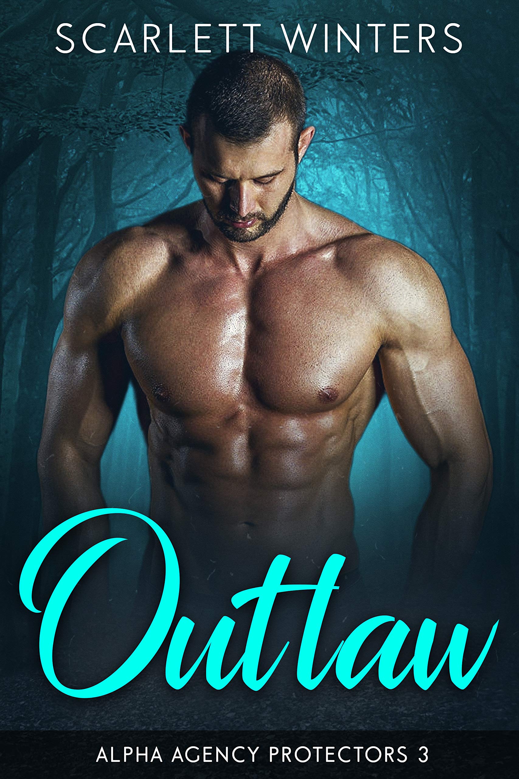 Alpha Agency Protectors book cover 3