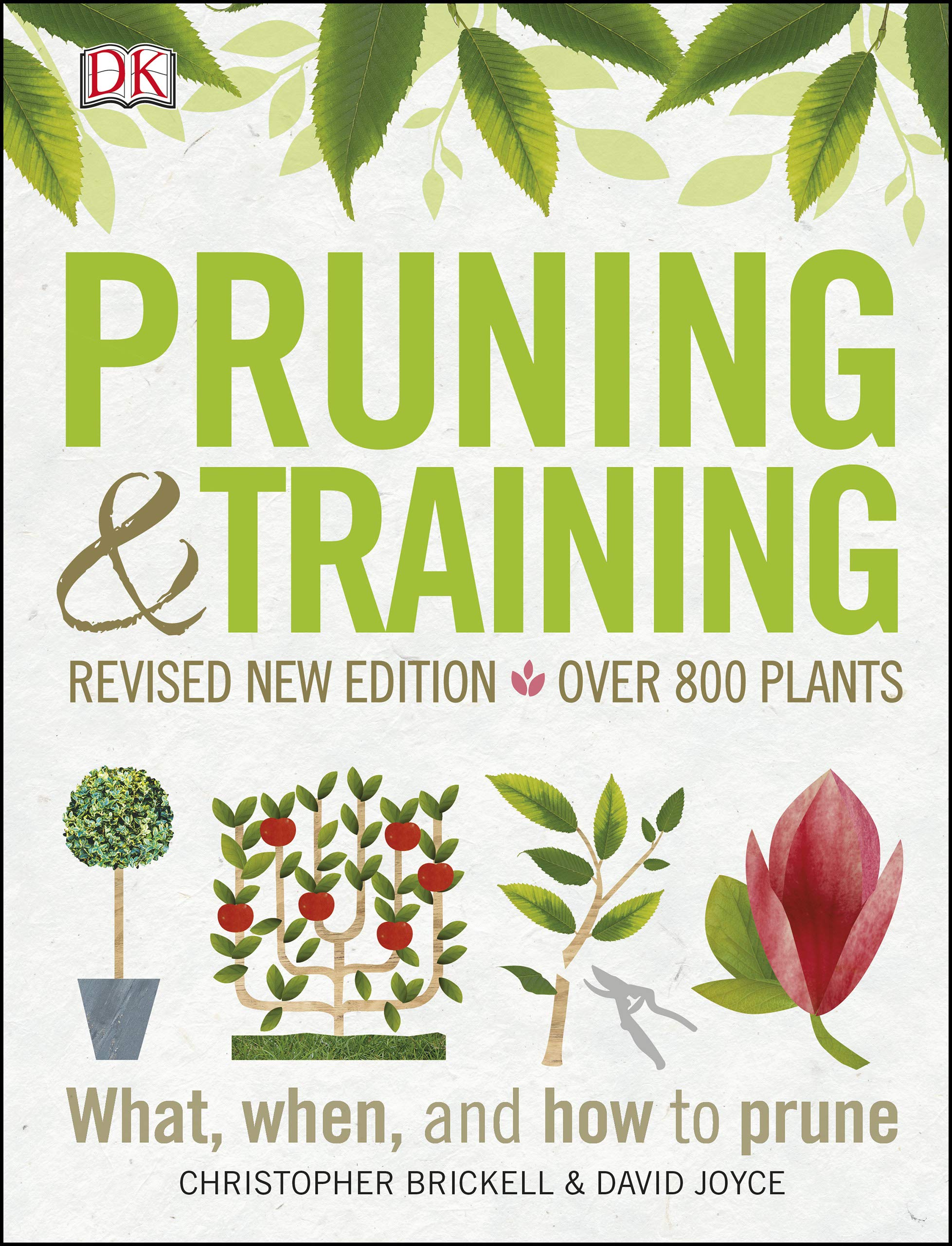 Pruning and Training, Revised New Edition: What, When, and How to Prune ...