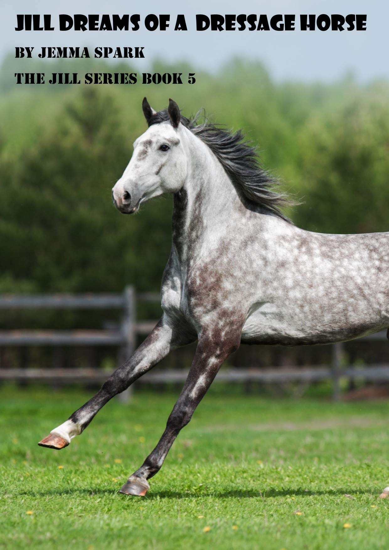 Jill Dreams of a Dressage Horse