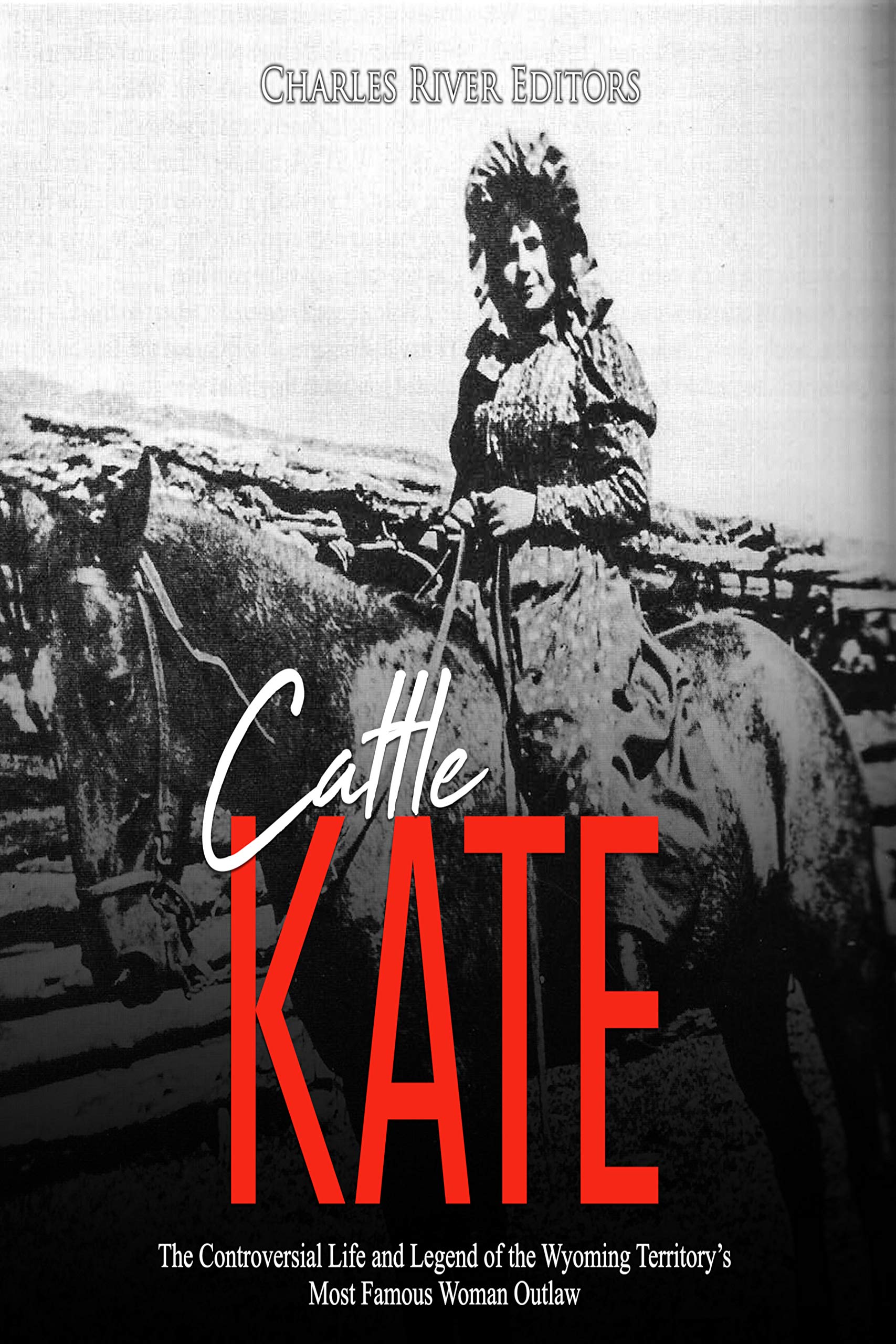 Cattle Kate book cover
