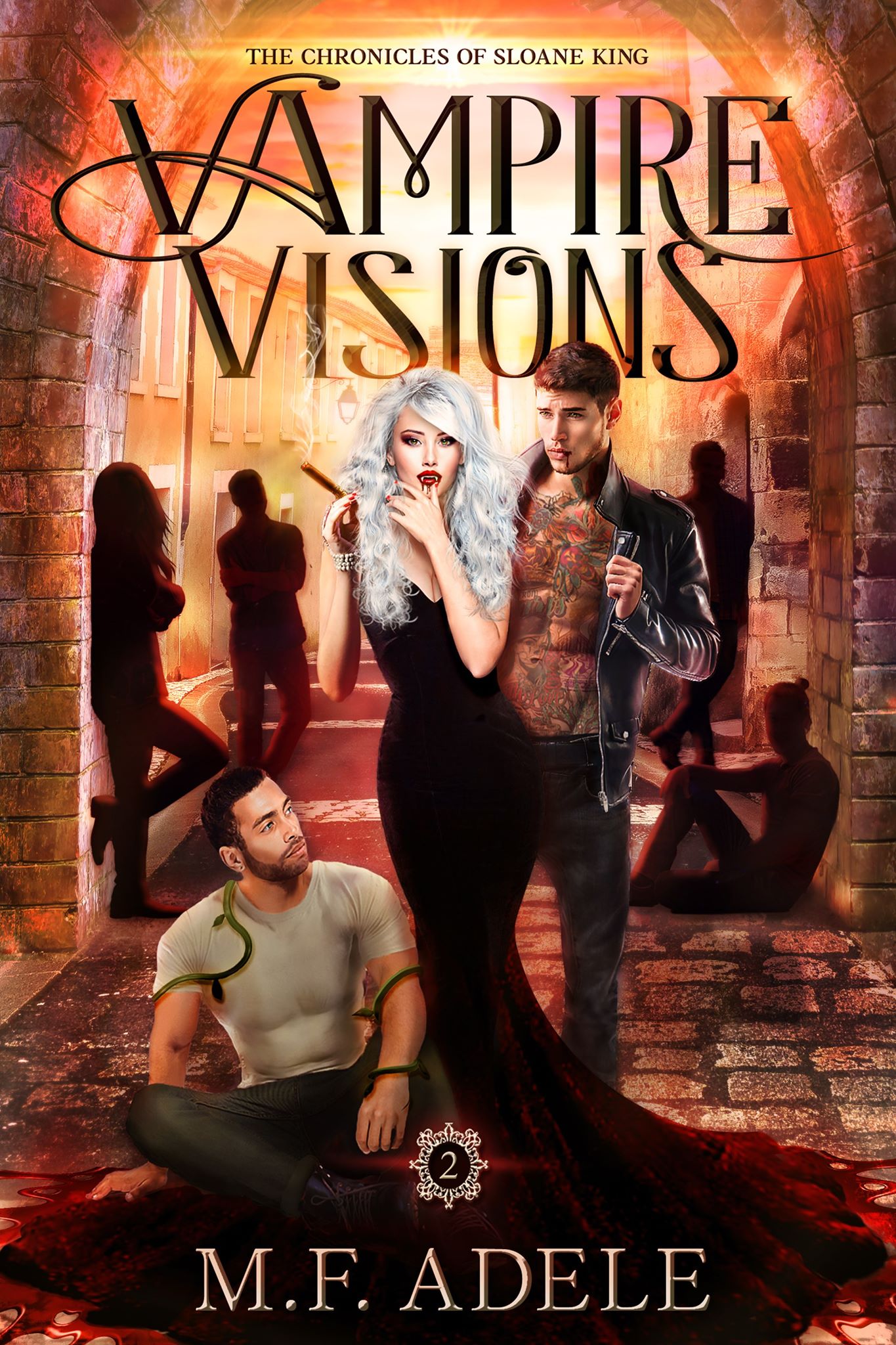 Vampire Visions book cover