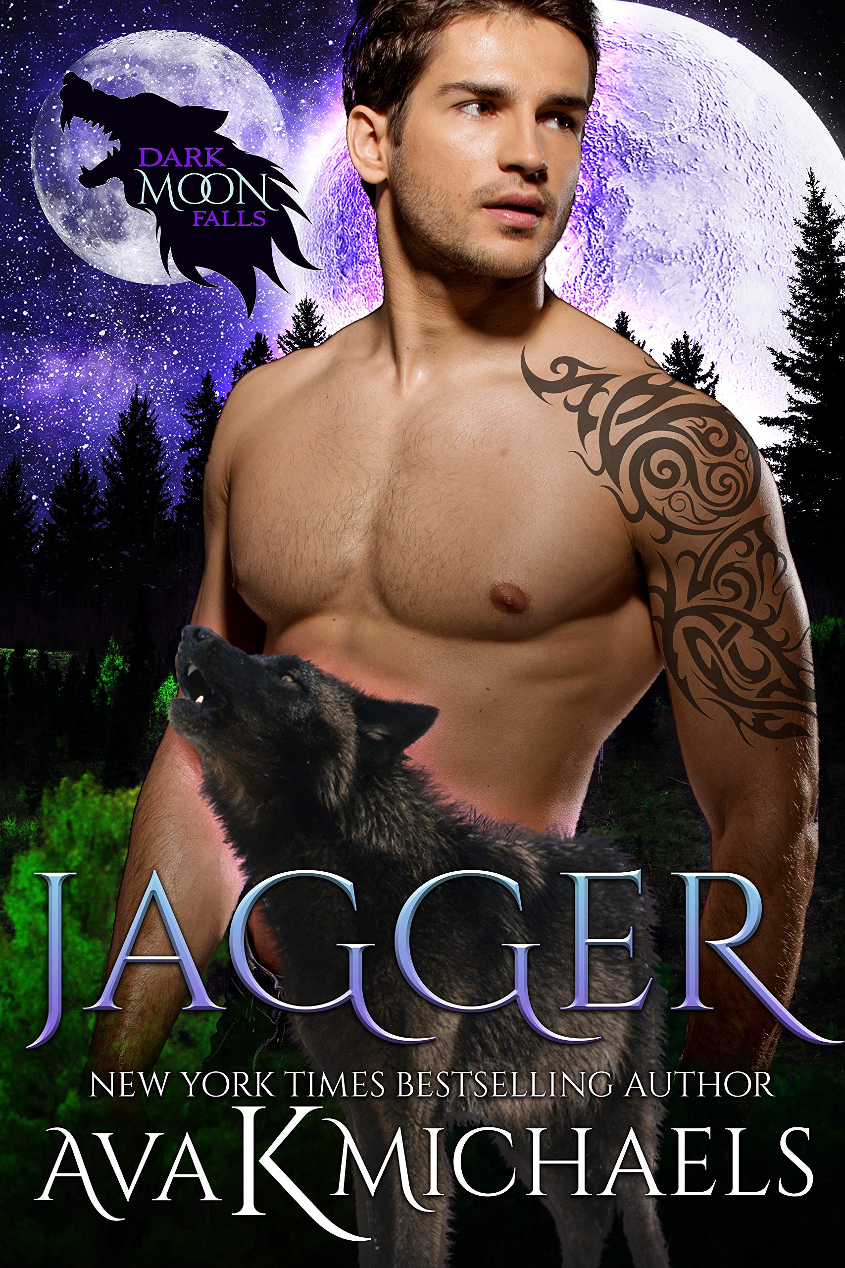 Dark Moon Falls book cover 1
