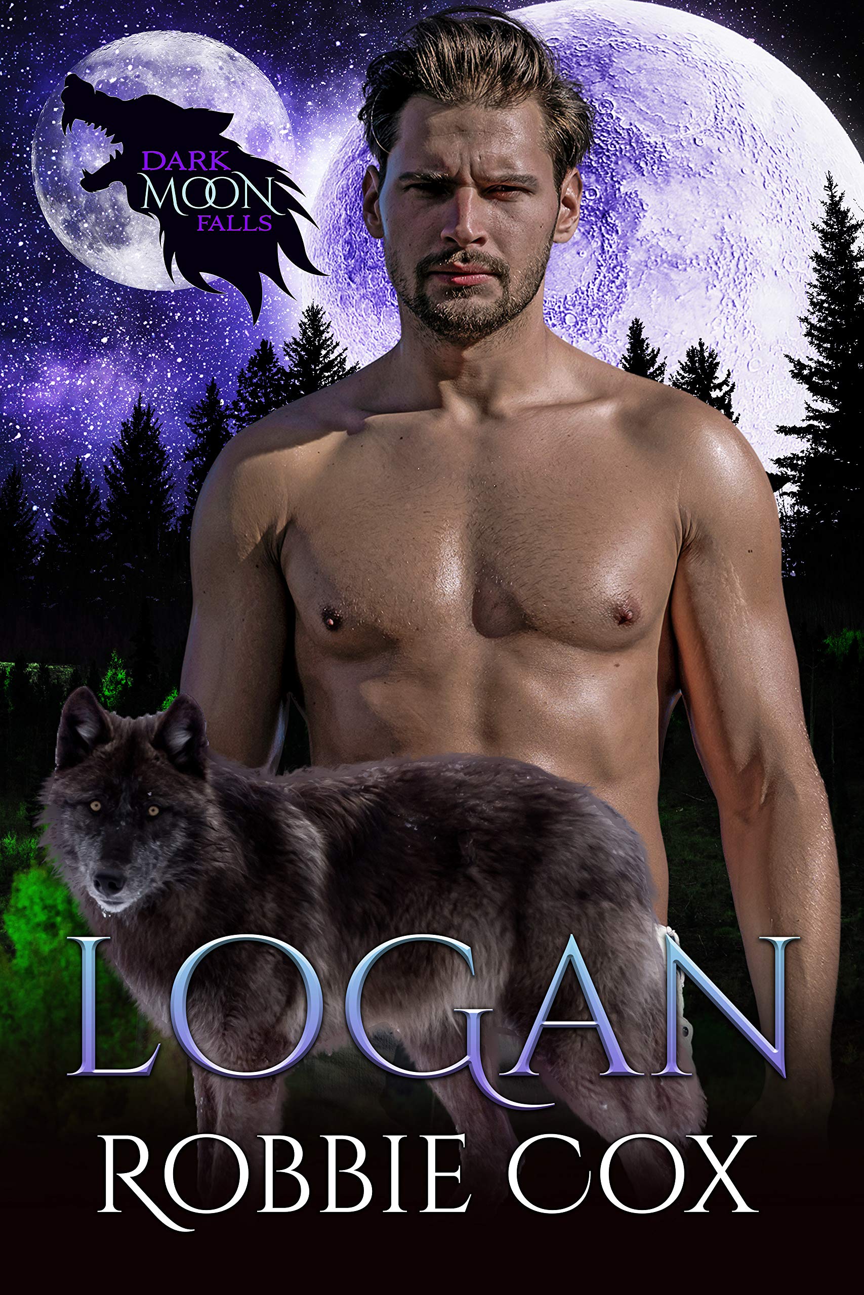 Dark Moon Falls book cover 3
