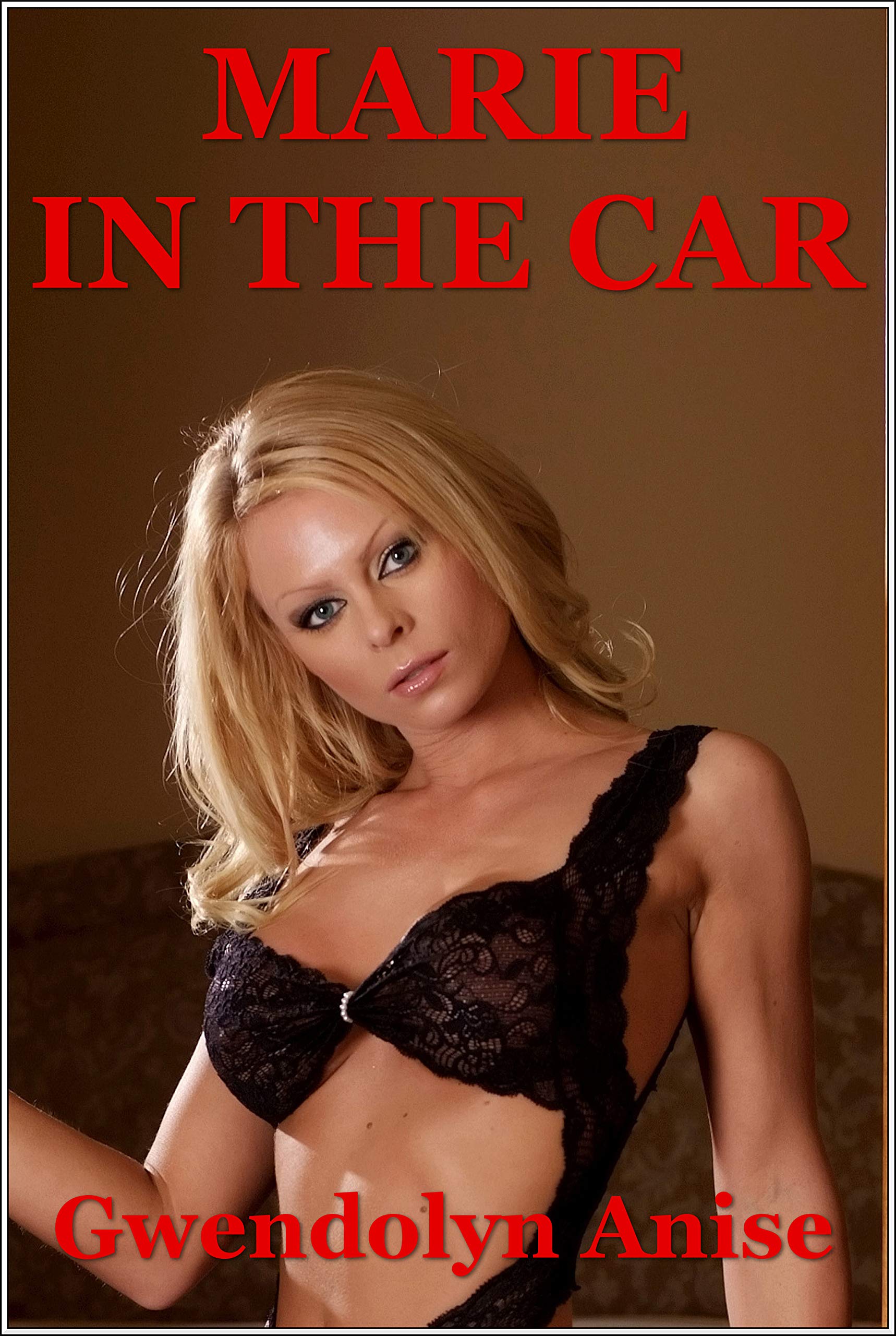 An Erotic Romance by Gwendolyn Anise