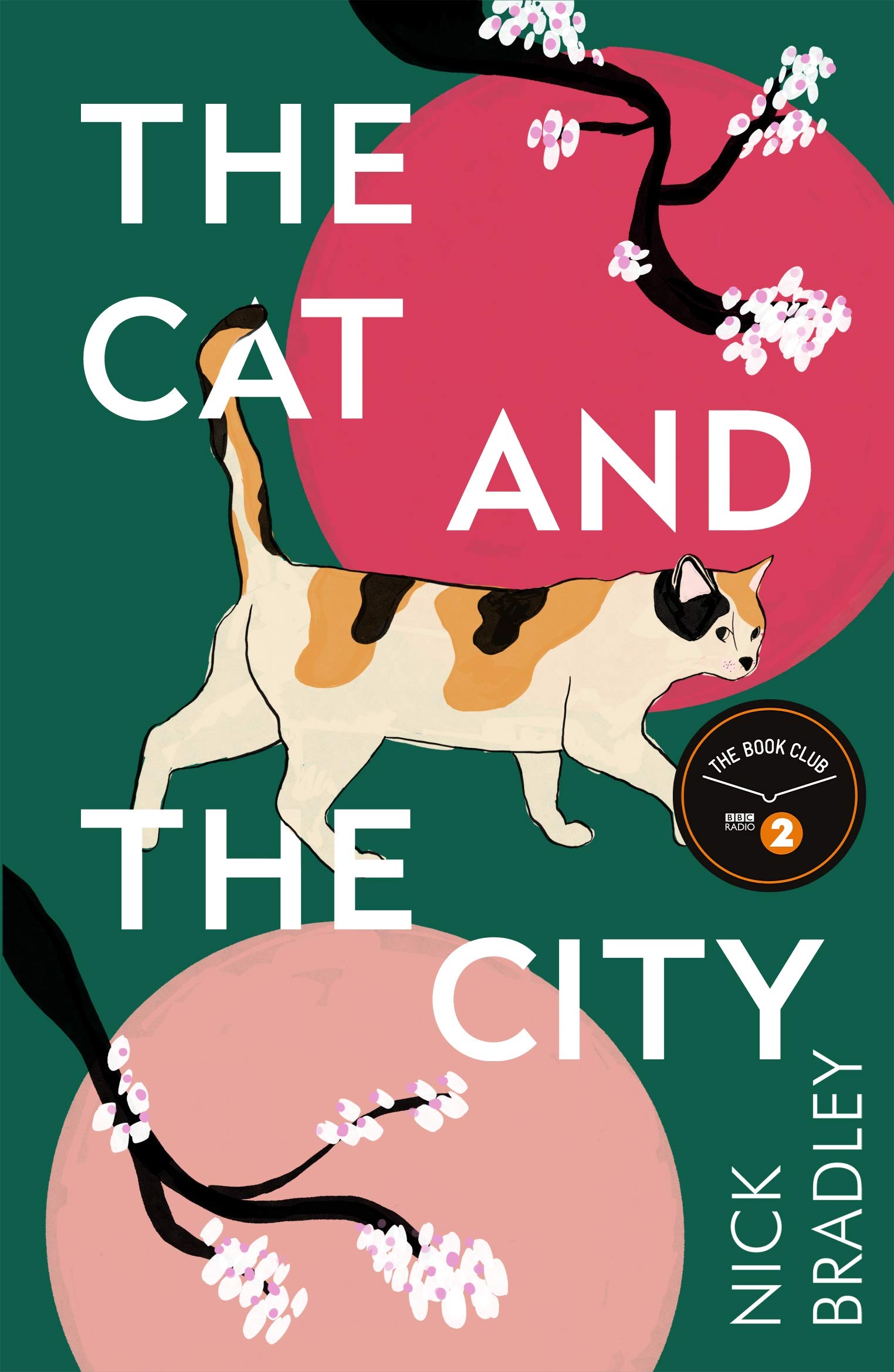 The Cat and The City