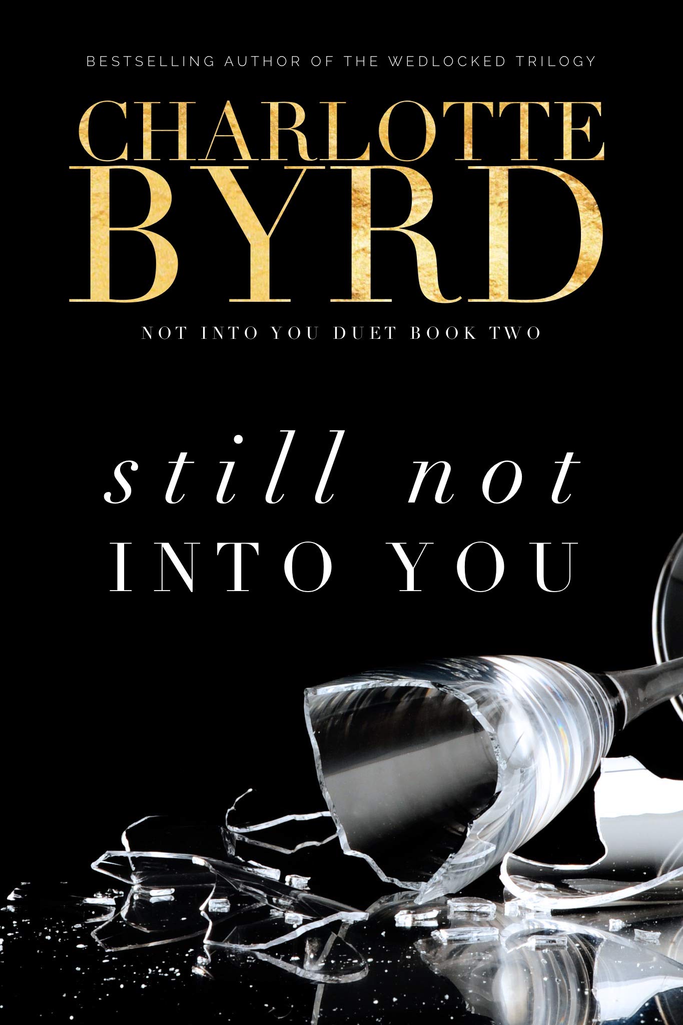 Still not into you book cover