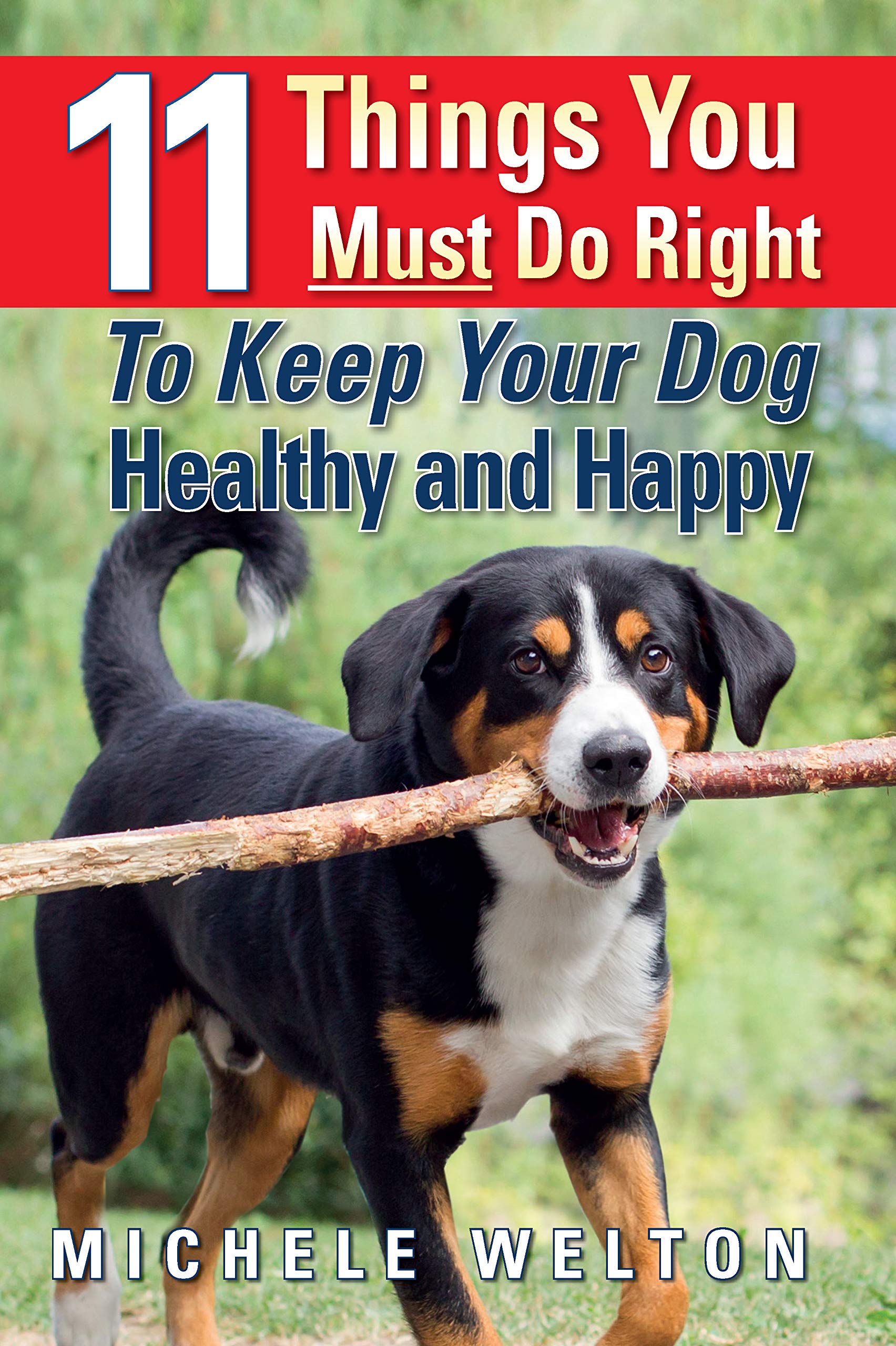 11 Things You Must Do Right To Keep Your Dog Healthy and Happy The