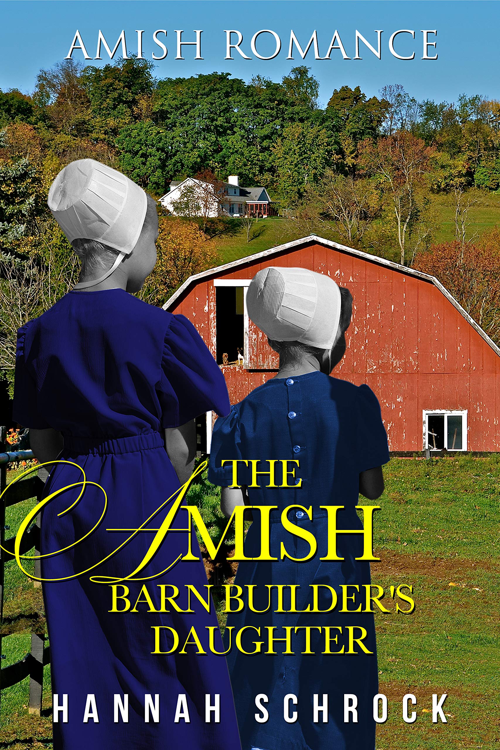 The Amish Barn Builder's Daughter book cover