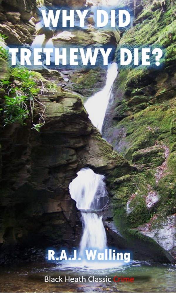 Why Did Trethewy Die?: A Philip Tolefree Mystery