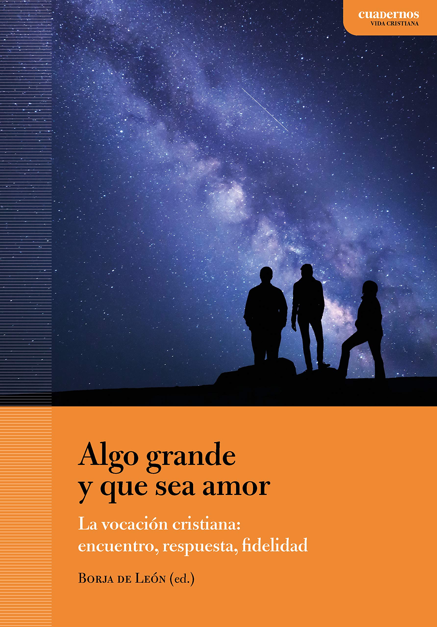 Algo grande y que sea amor: La vocación cristiana: encuentro, respuesta, fidelidad