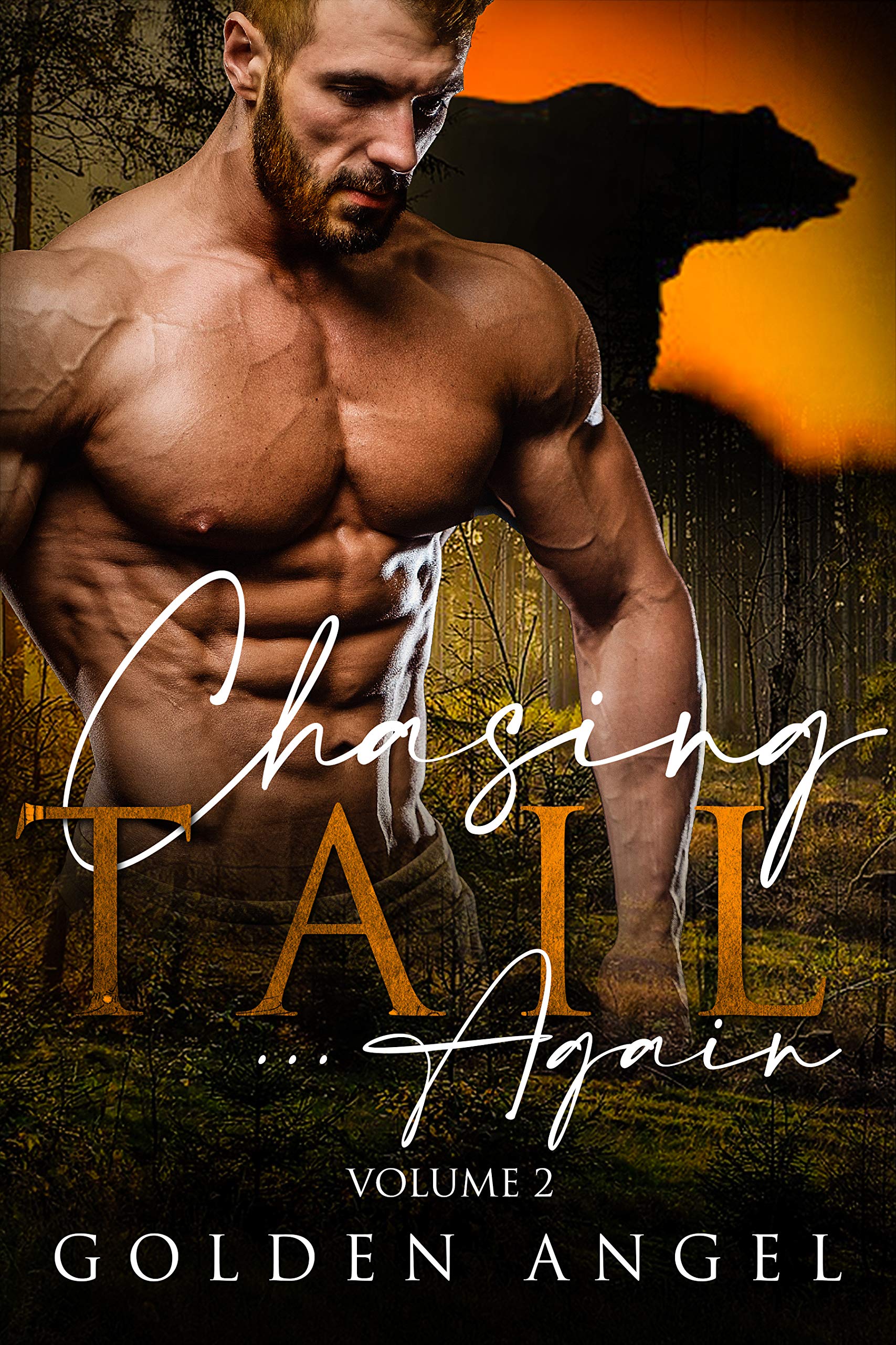 Chasing Tail... Again book cover