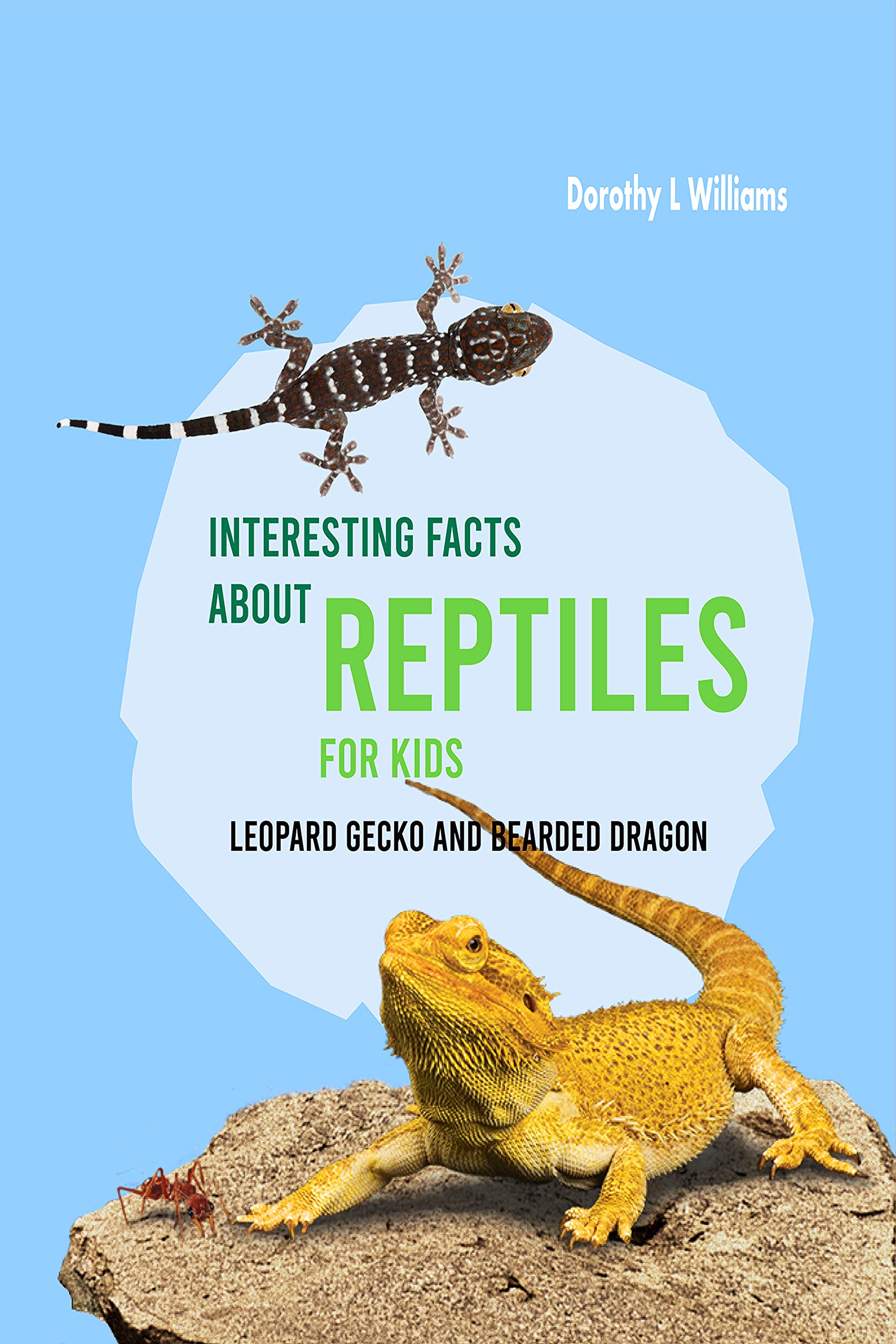 Interesting Facts About Reptiles For Kids Leopard Gecko and Bearded