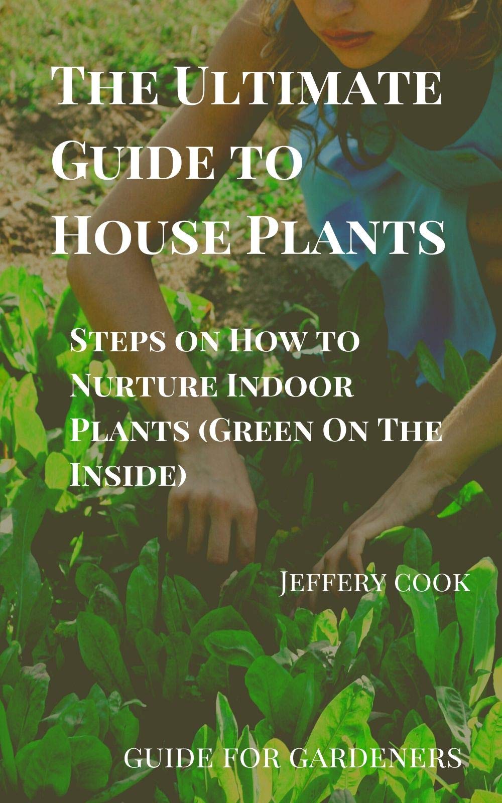 The Ultimate Guide to House Plants Steps on How to Nurture Indoor