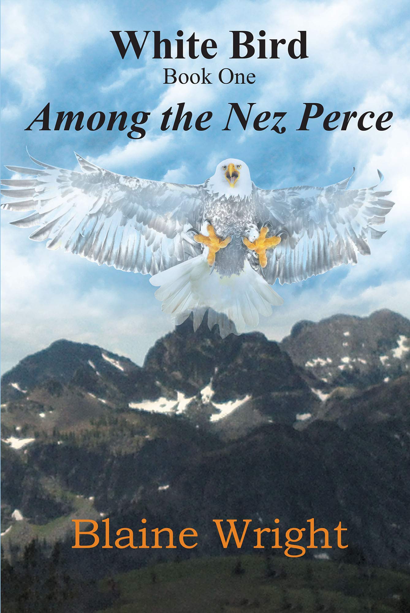 White Bird Among the Nez Perce by Blaine Wright Goodreads
