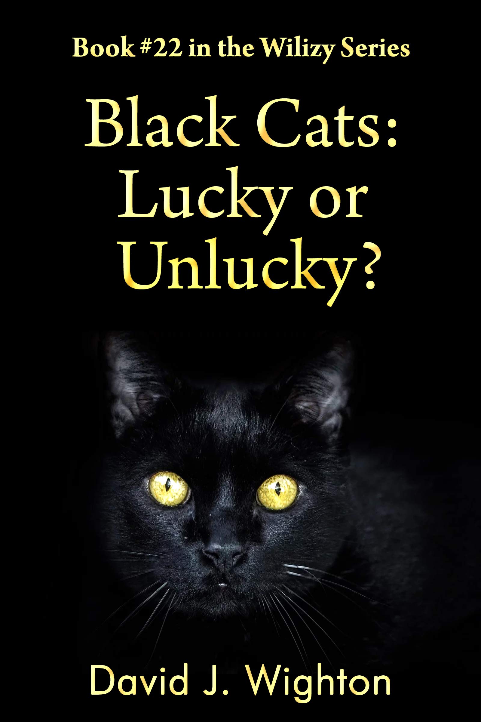 Black Cats Lucky or Unlucky? (Wilizy Book 22) by David Wighton Goodreads