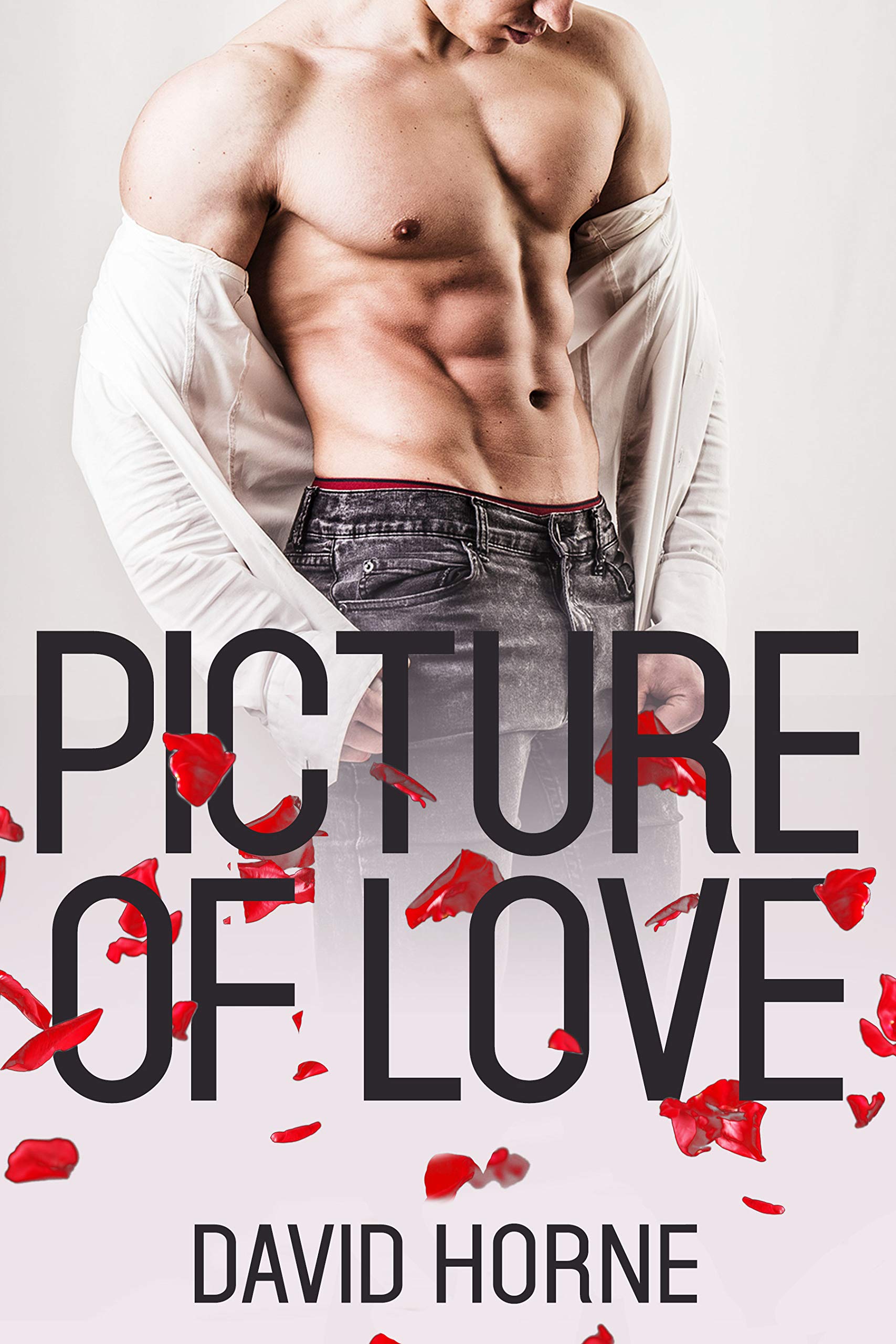 picture-of-love-by-david-horne-goodreads