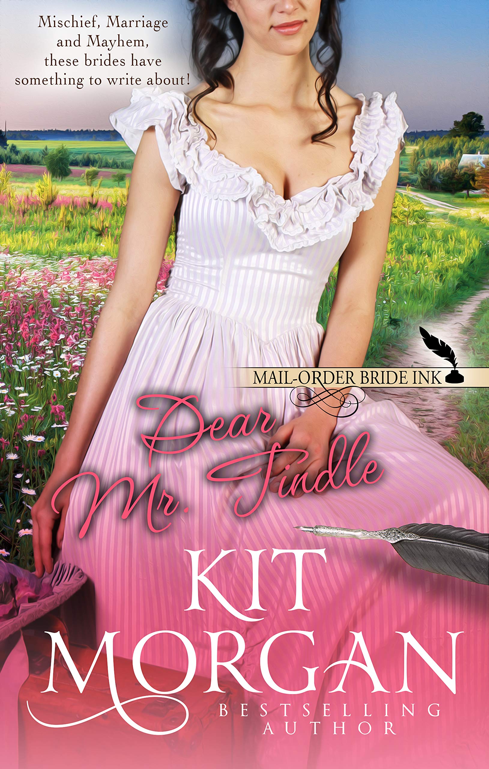 Dear Mr. Tindle book cover
