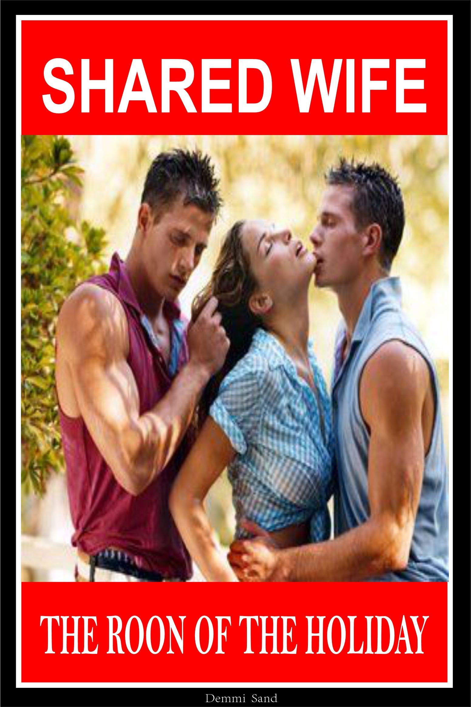 SHARED WIFE: THE ROON OF THE HOLIDAY MMF Bisexual by Demmi Sand | Goodreads