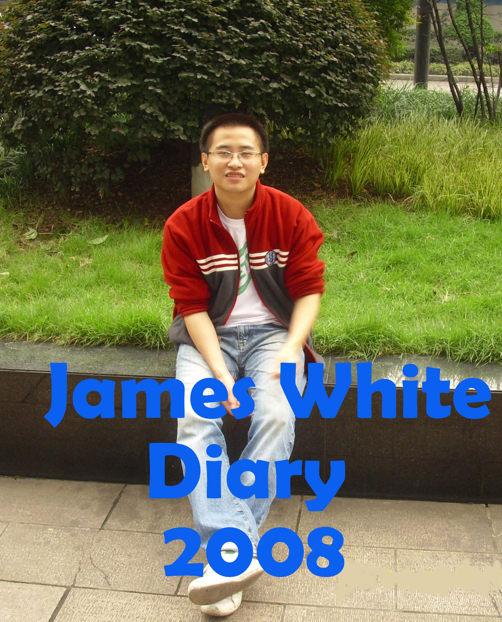 James White Diary 2008 by James White Goodreads