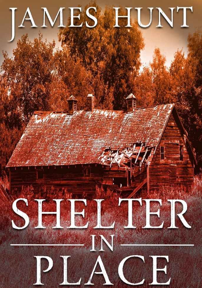 Shelter In Place book cover
