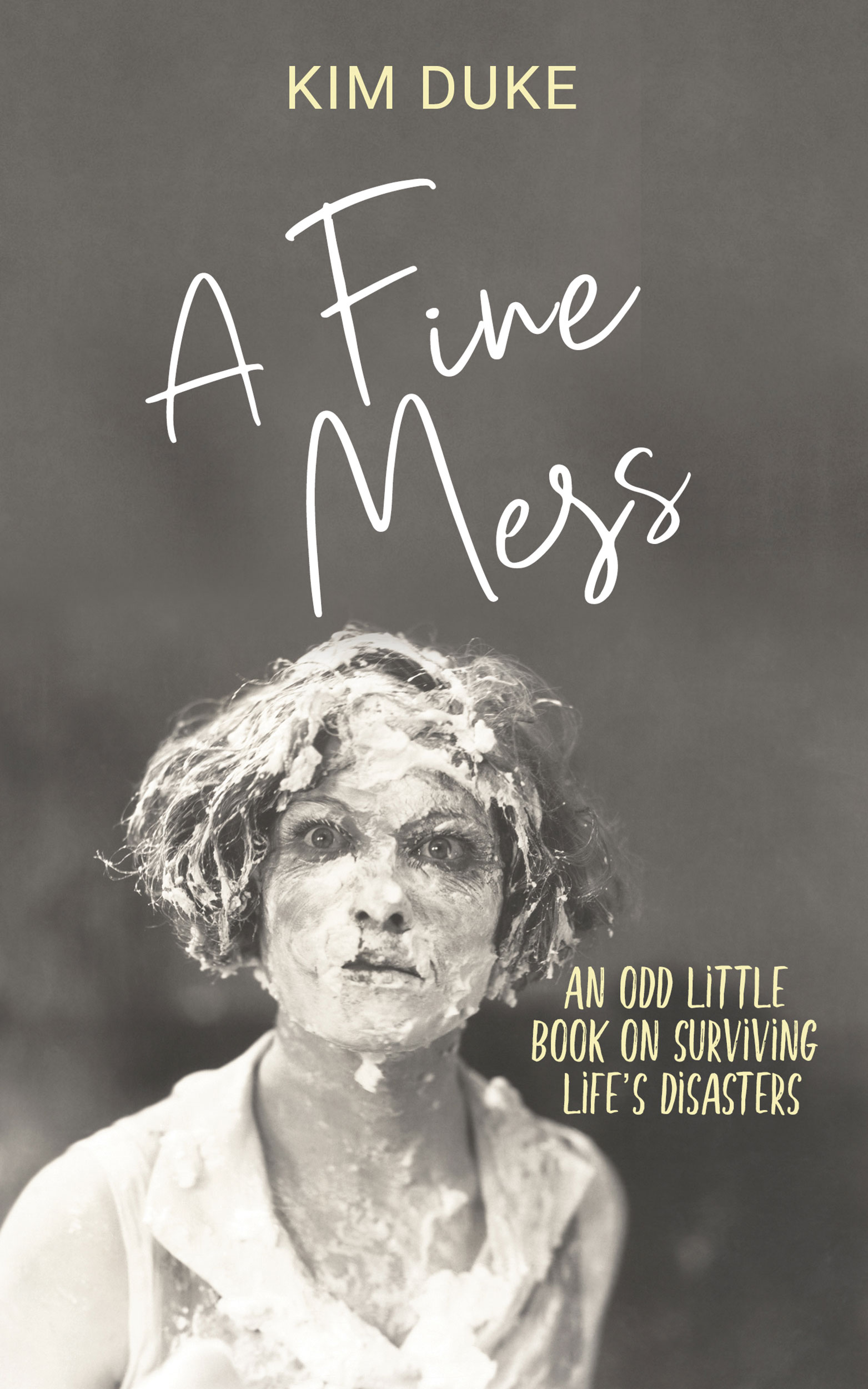 A Fine Mess An Odd Little Book on Surviving Life's Disasters by Kim