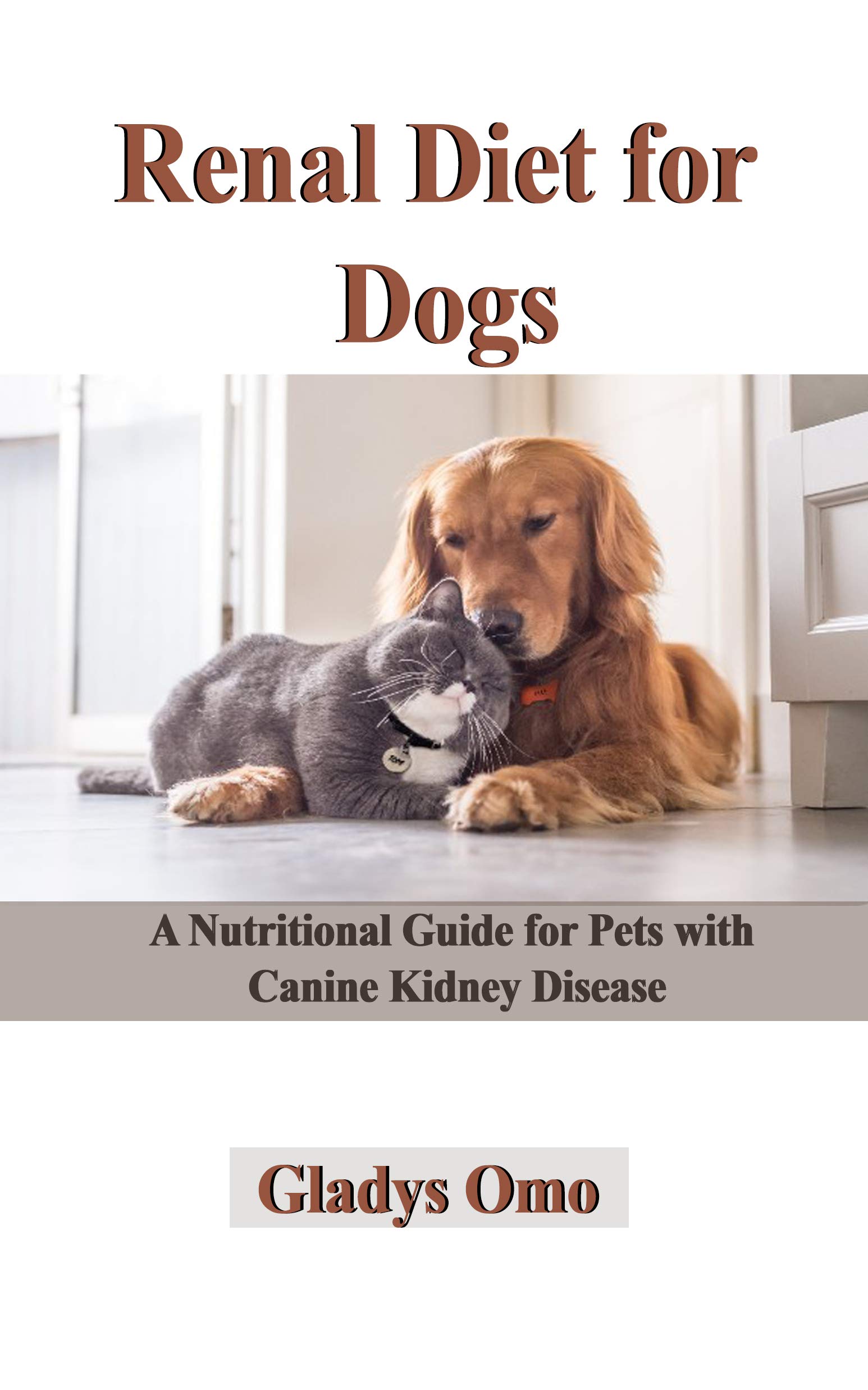 renal-diet-for-dogs-a-nutritional-guide-for-pets-with-canine-kidney