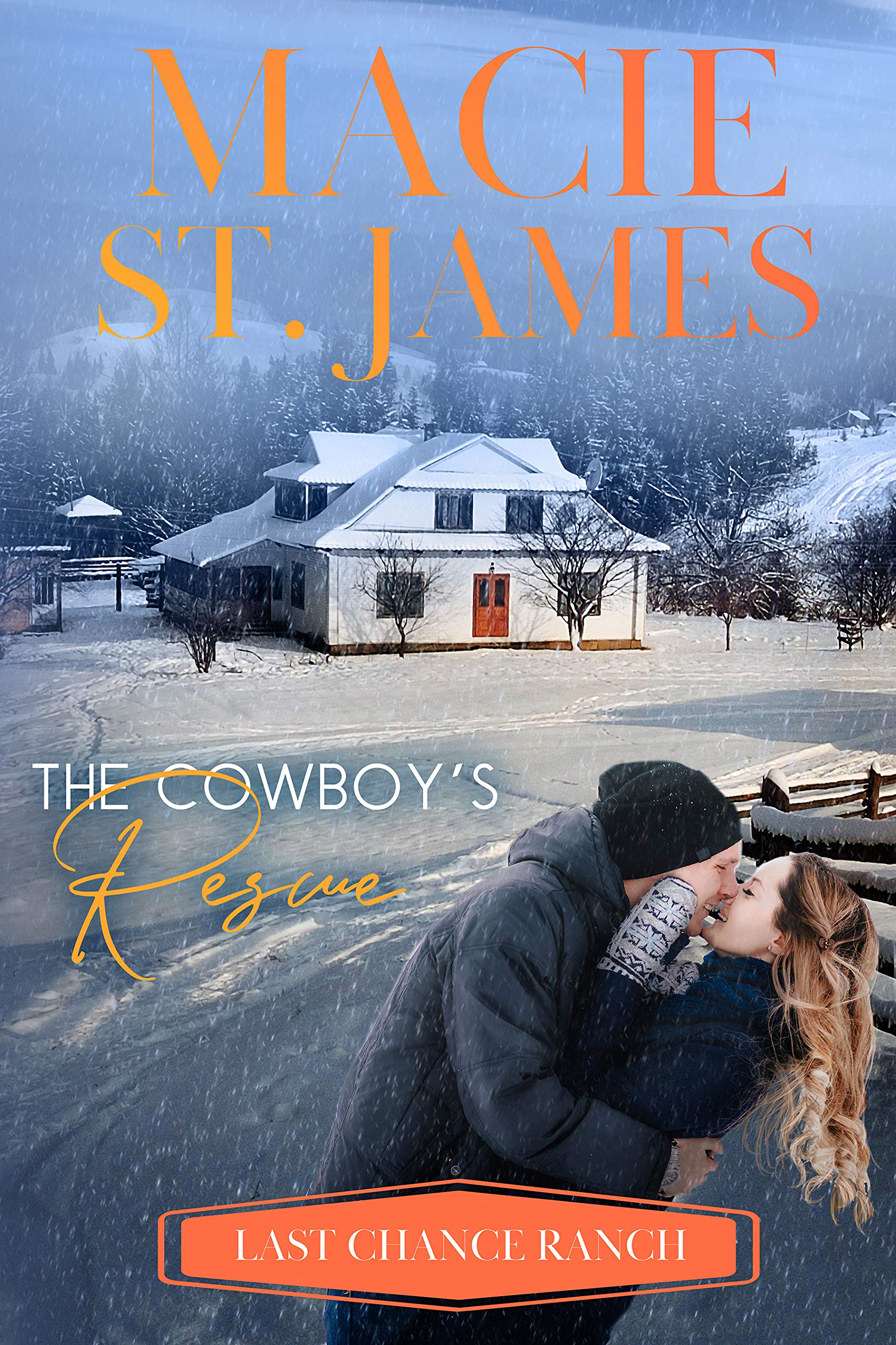 Last Chance Ranch book cover 2