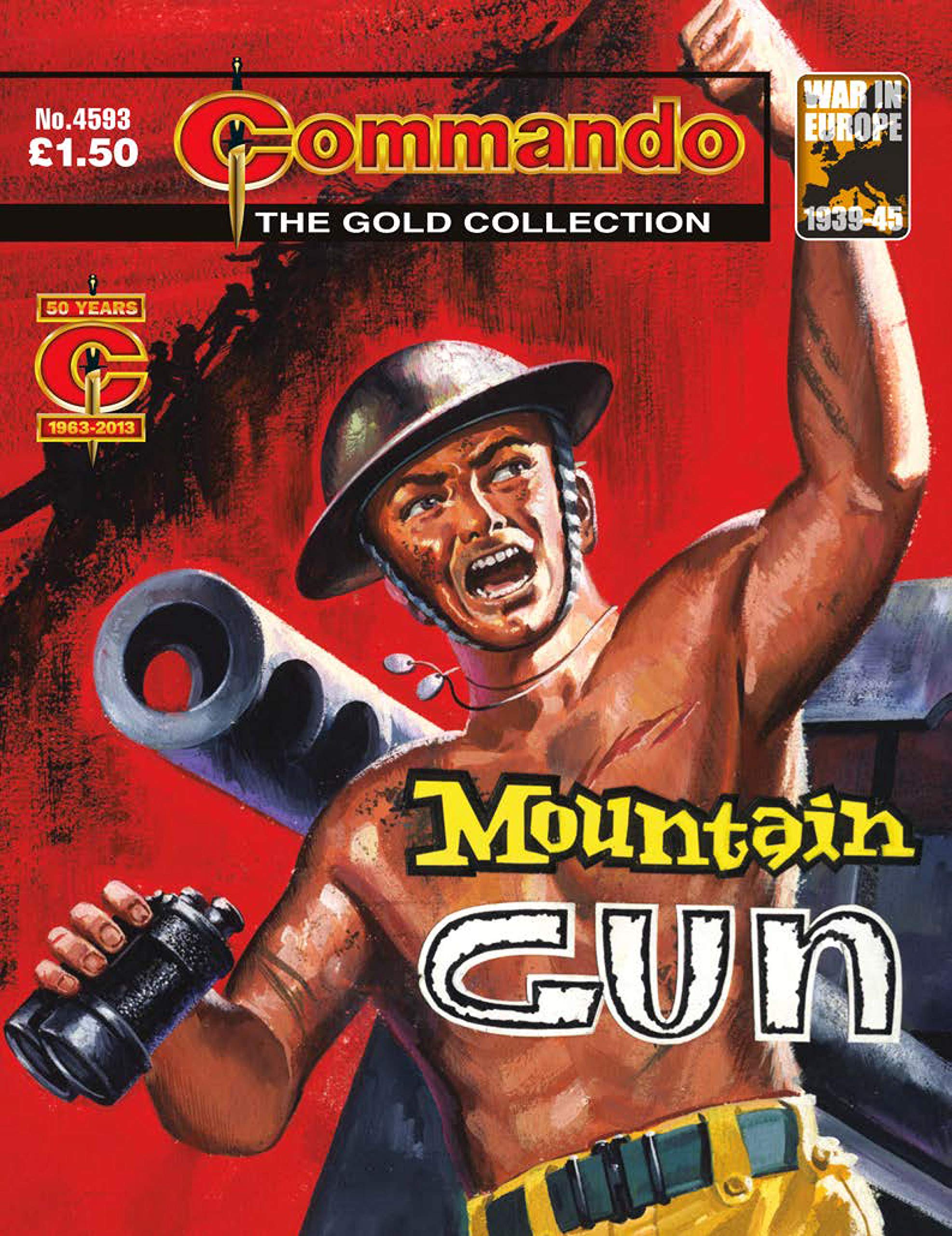 Commando #4593 book cover