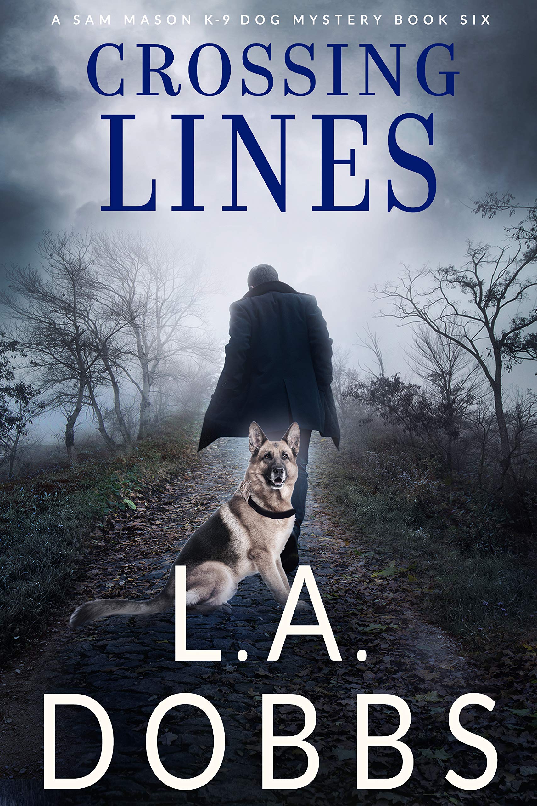 Crossing Lines book cover