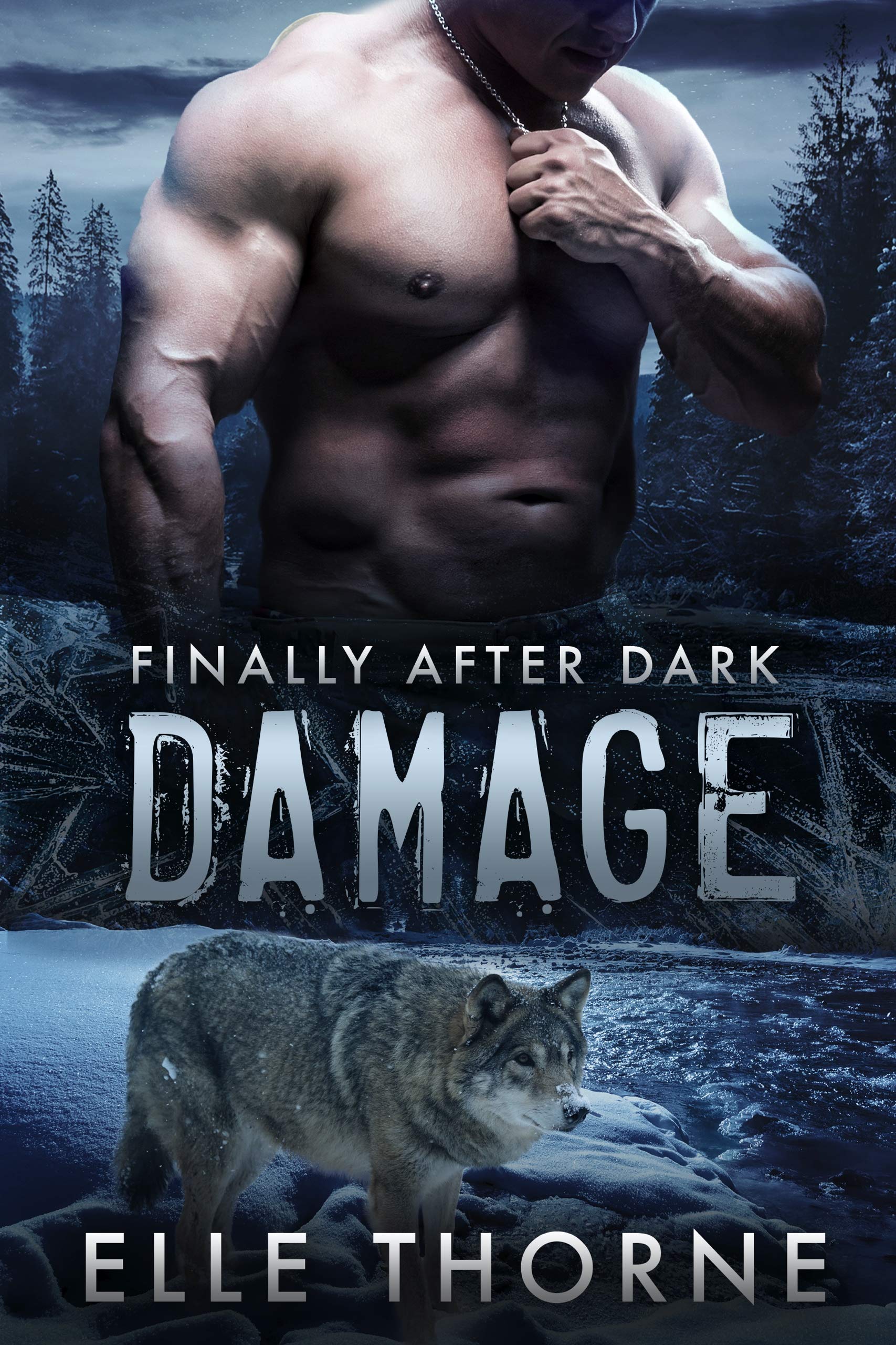 Damage book cover