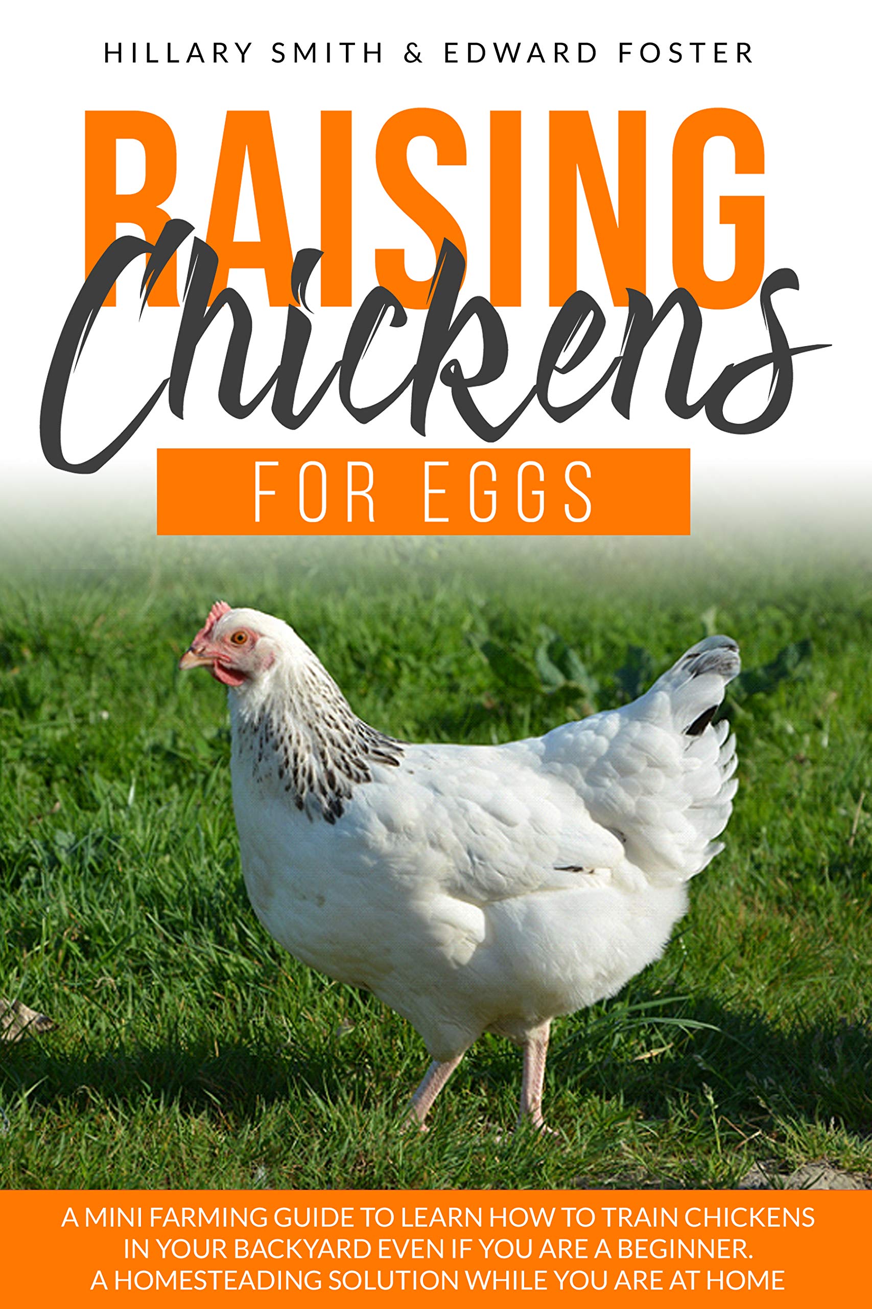 Raising Chickens for Eggs A mini farming guide to learn how to train chickens in your backyard