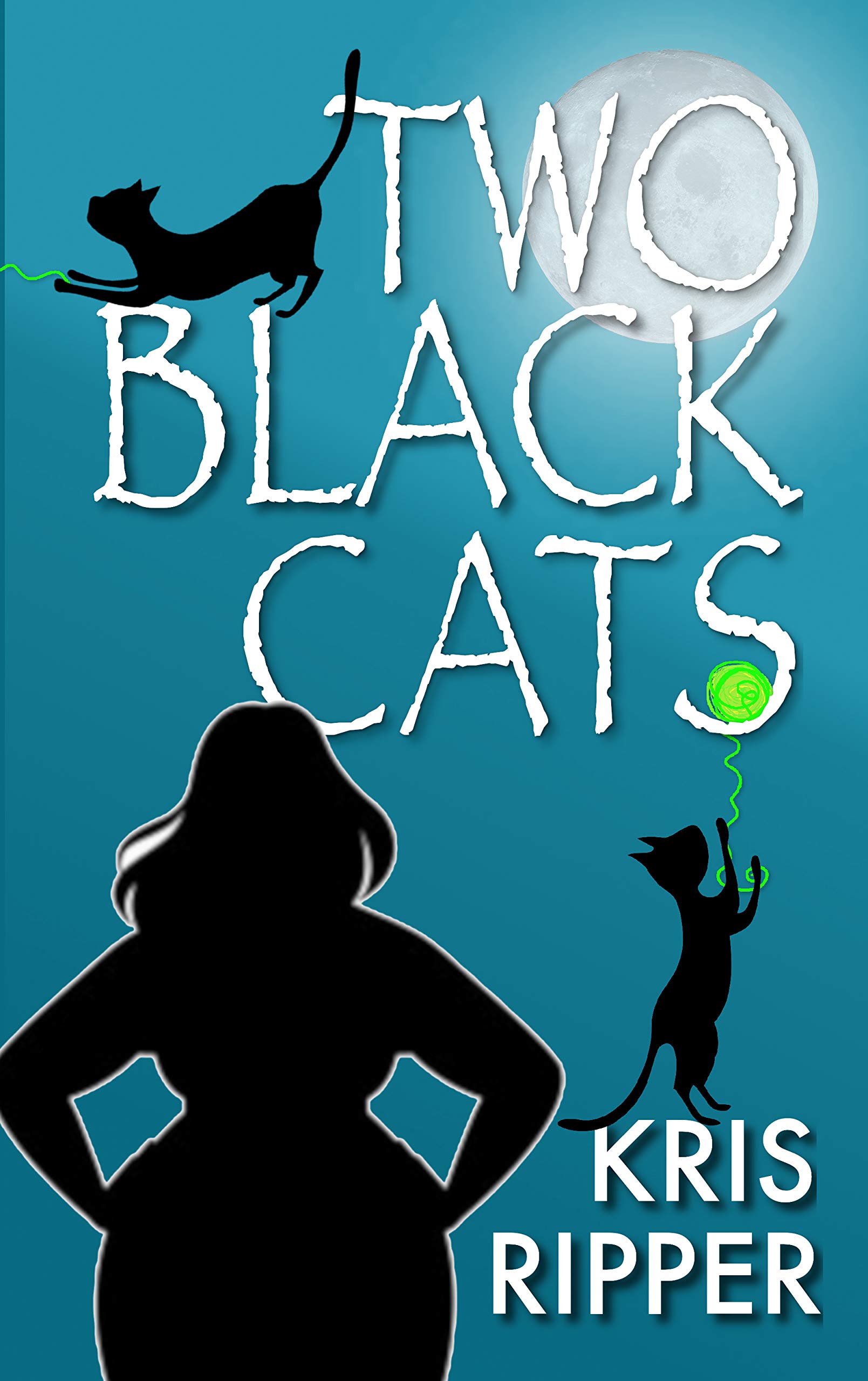 Two Black Cats book cover
