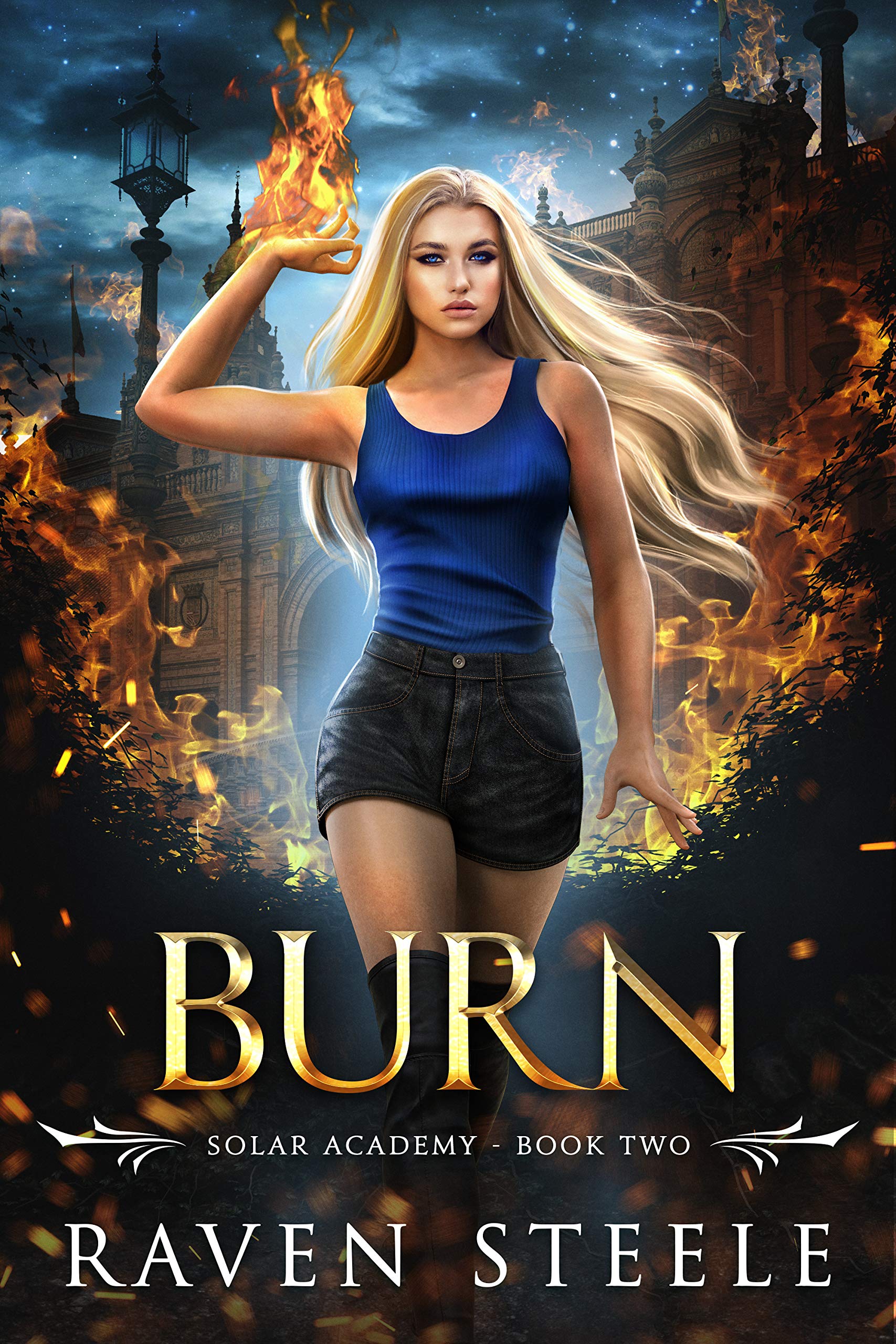 Burn book cover