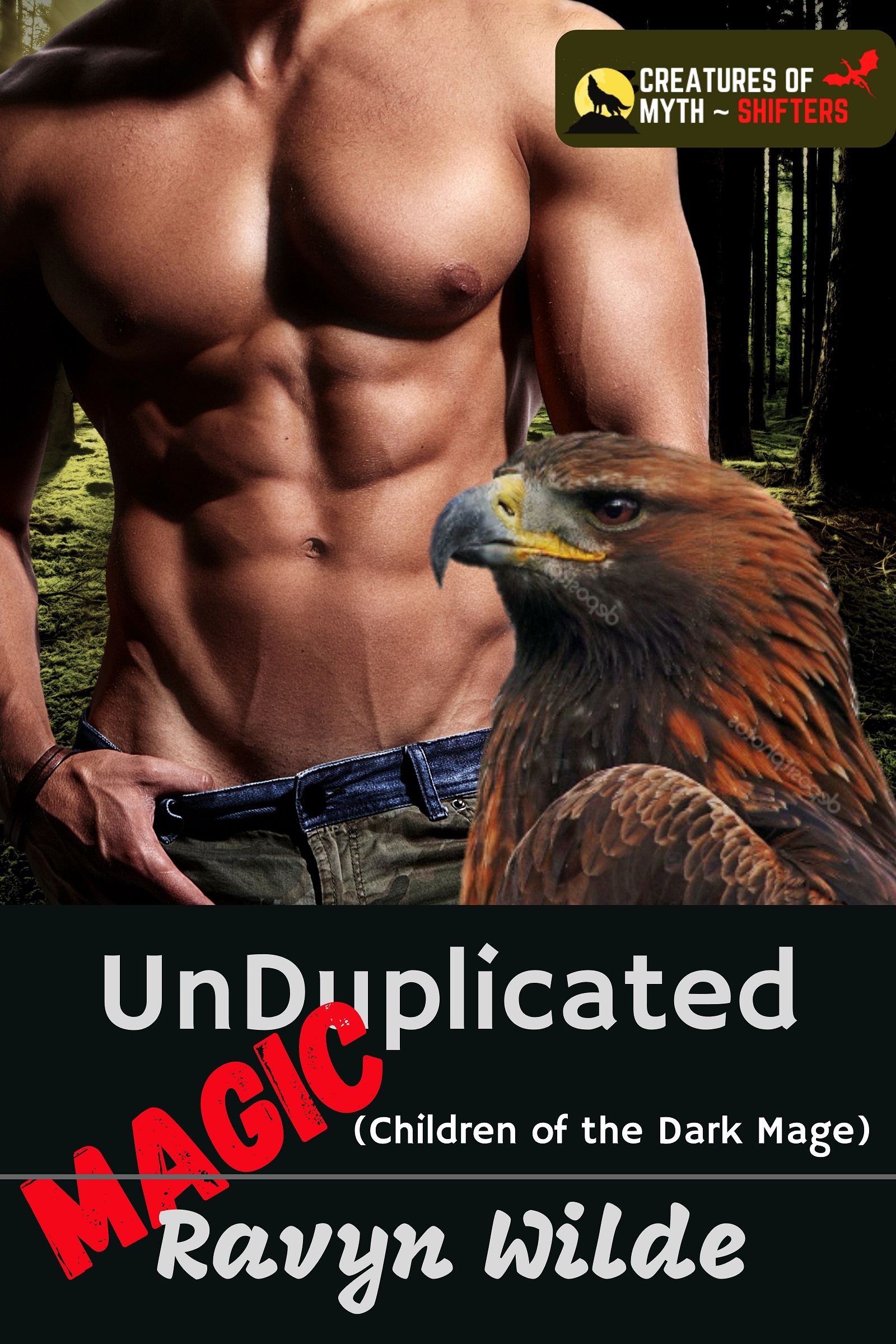 UnDuplicated Magic book cover