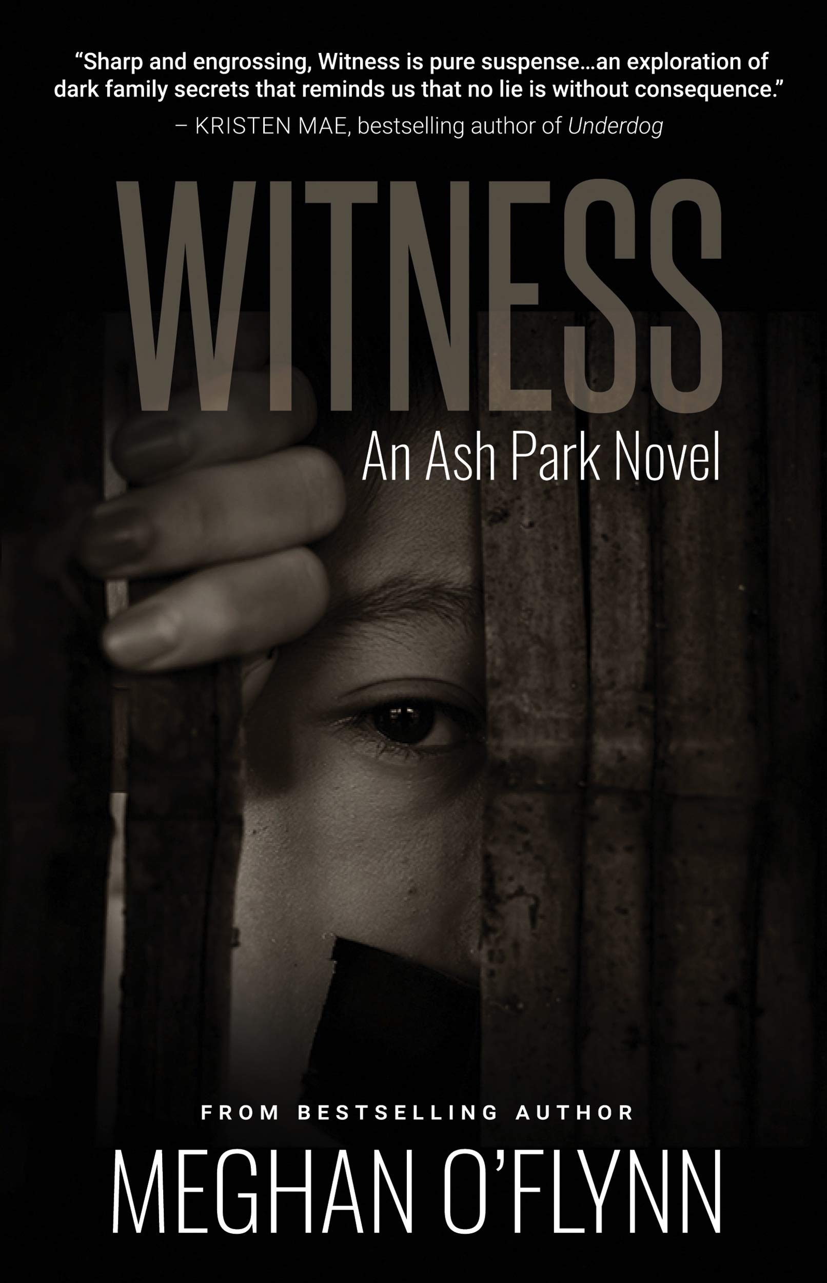 Witness book cover
