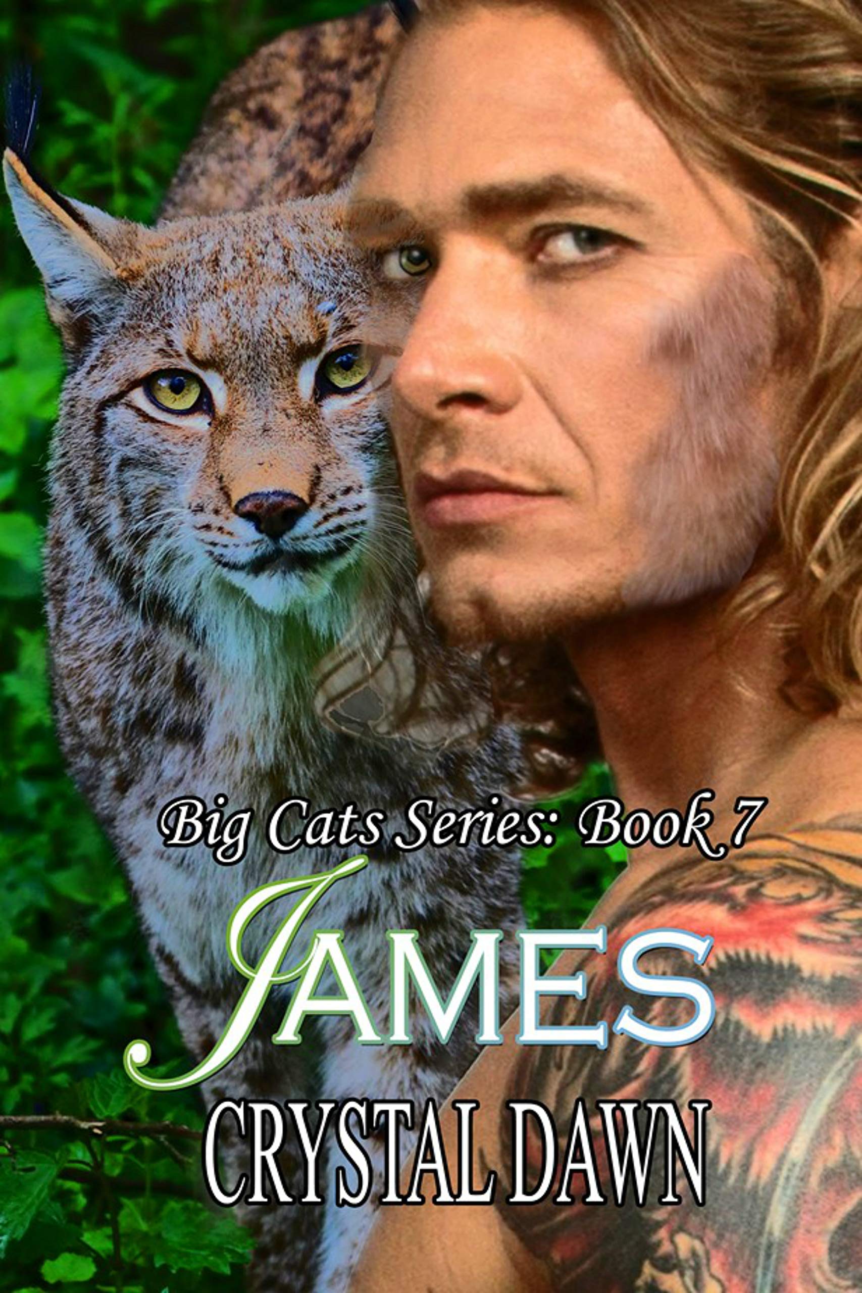 James book cover