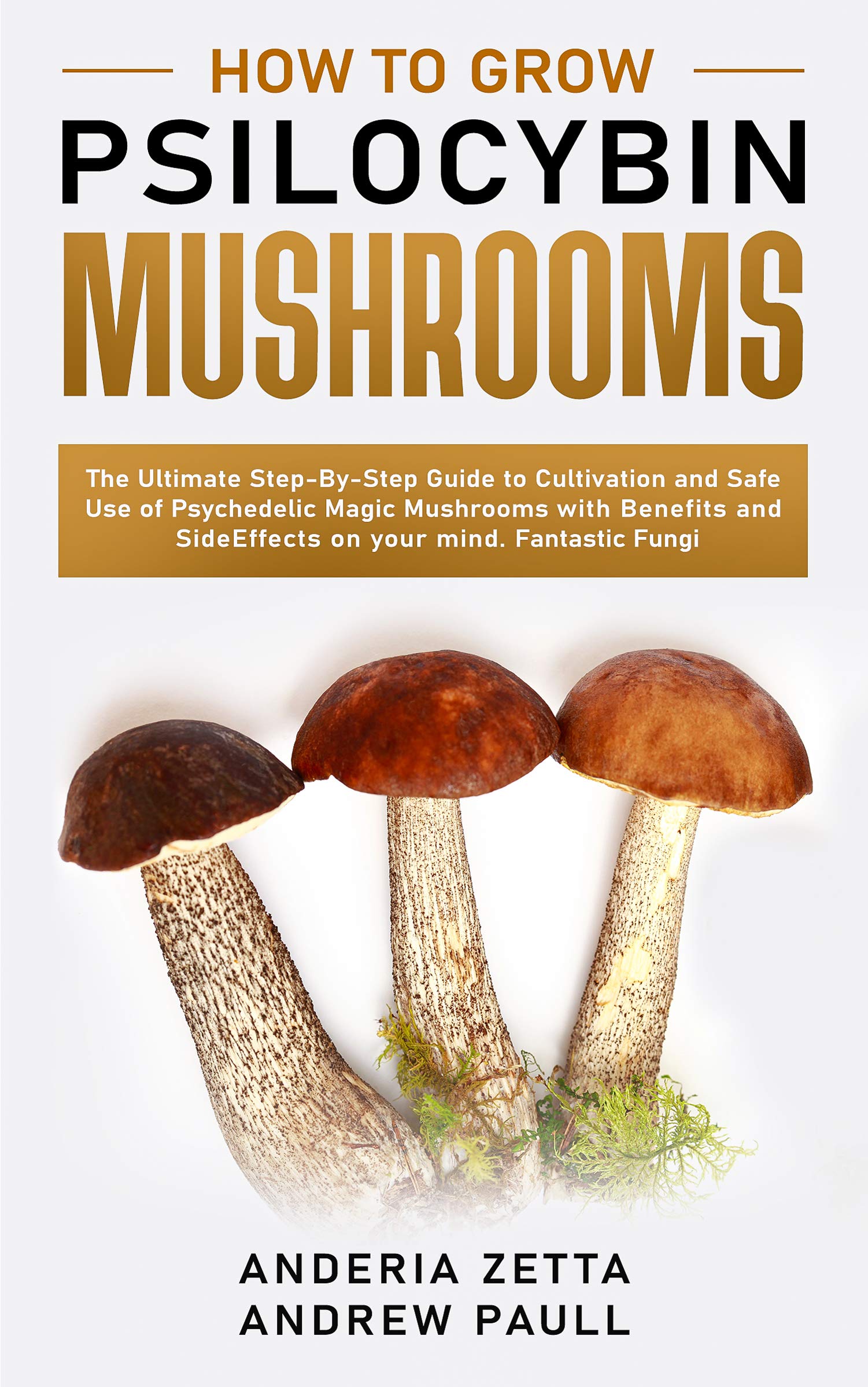 How to Grow Psilocybin Mushrooms: The Ultimate Step-By-Step Guide to