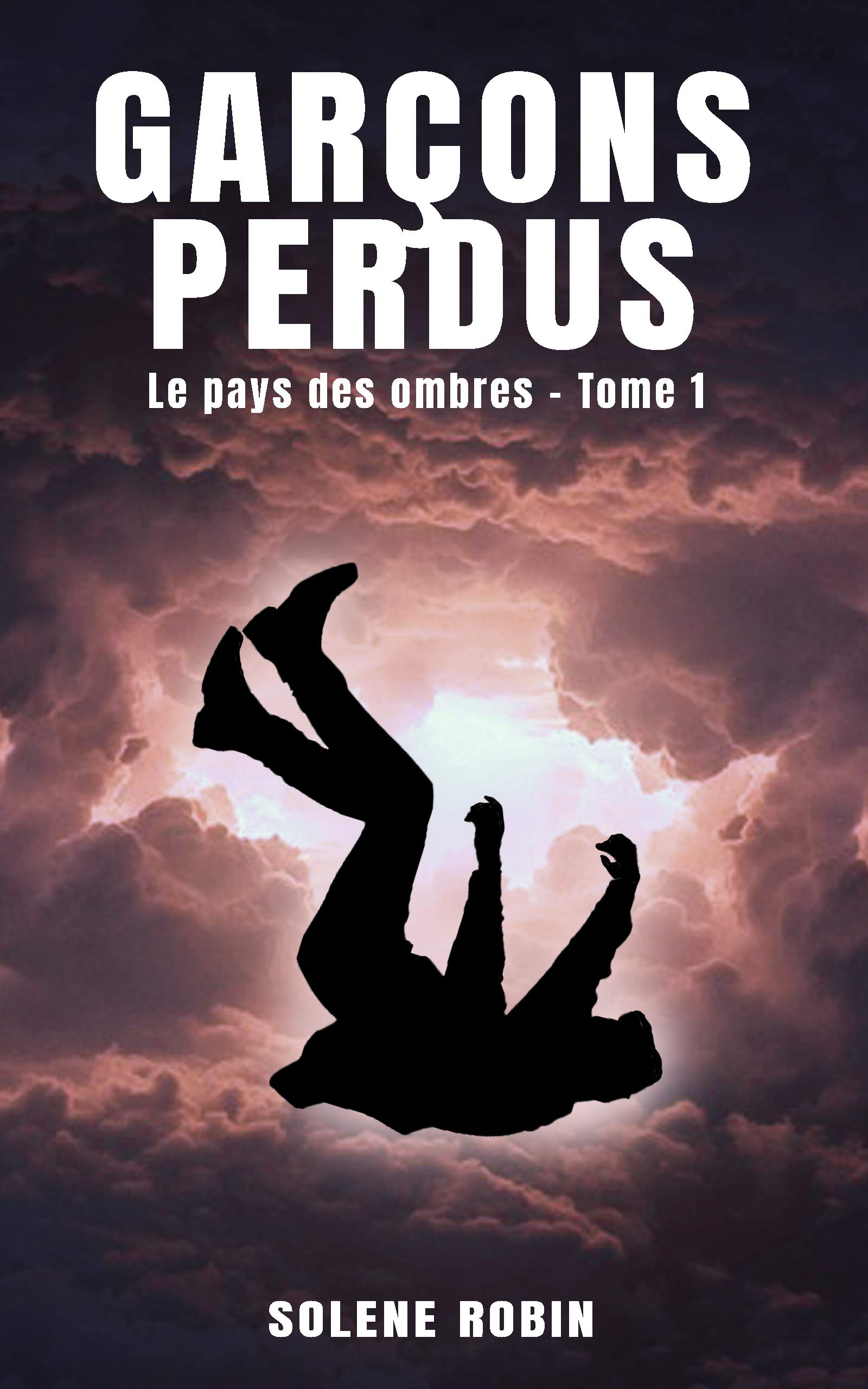 Les garçons perdus T1 main image 0