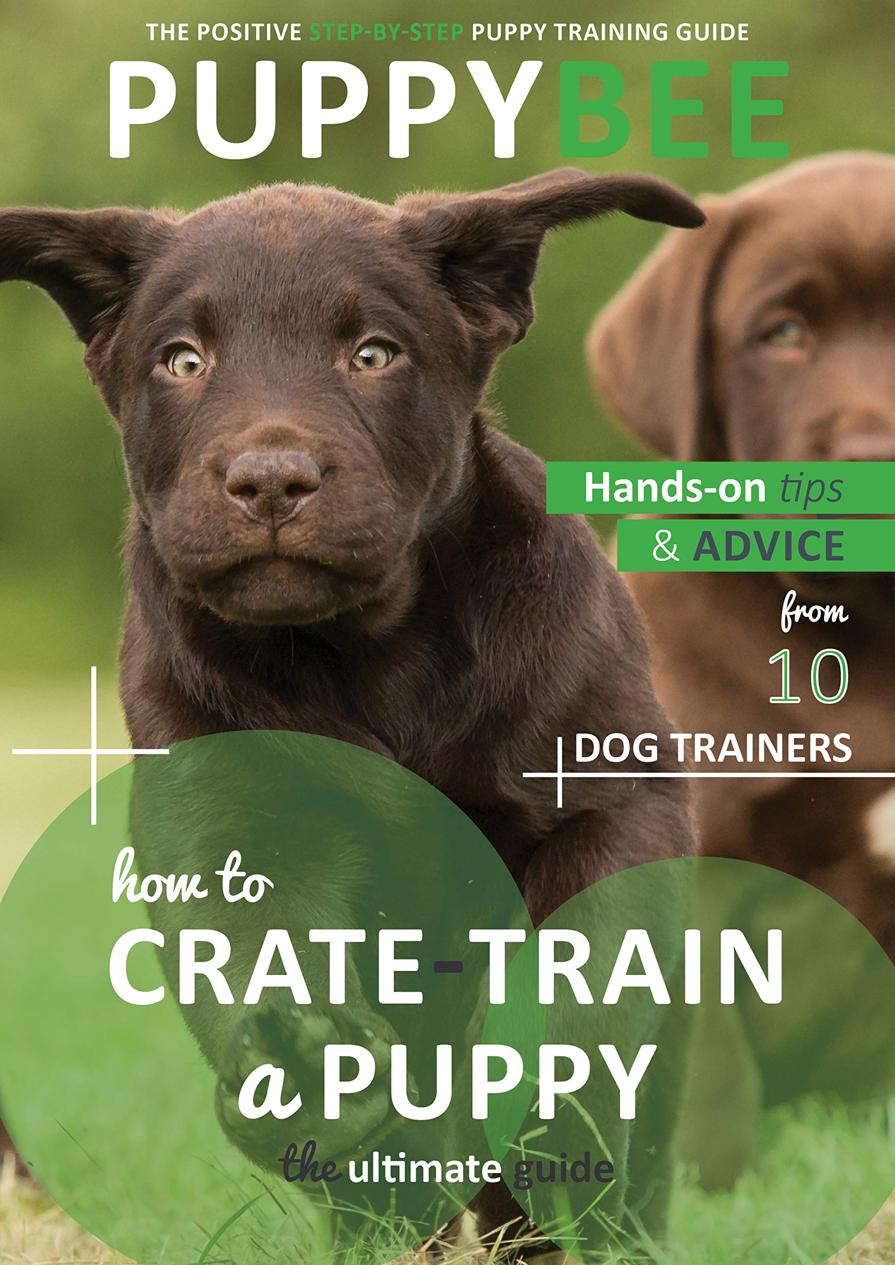 how-to-crate-train-a-puppy-the-ultimate-guide-hand-on-tips-and-advice