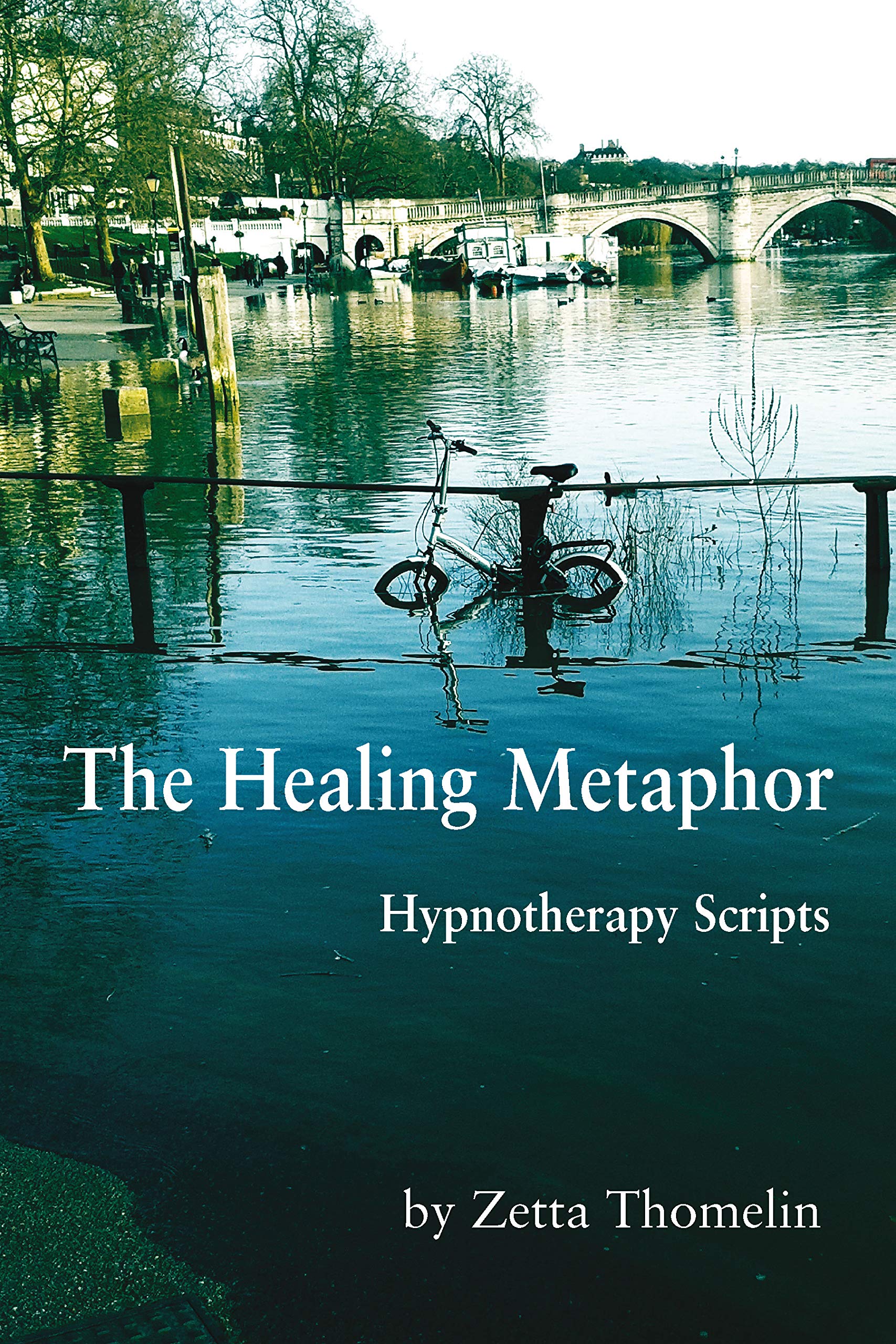 The Healing Metaphor: Hypnotherapy Scripts by Zetta Thomelin | Goodreads