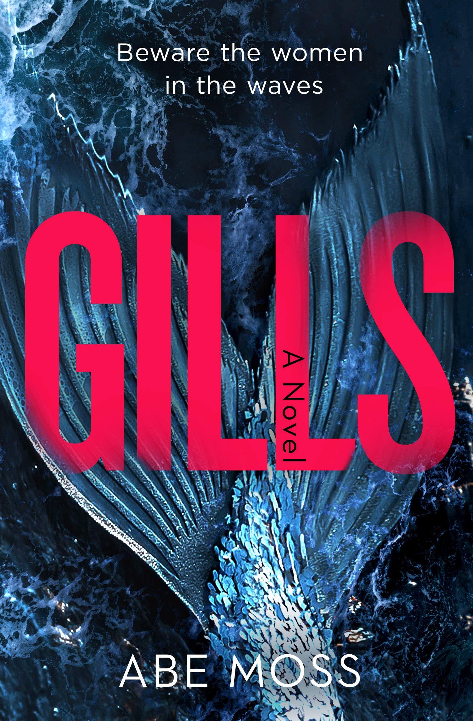 Gills book cover