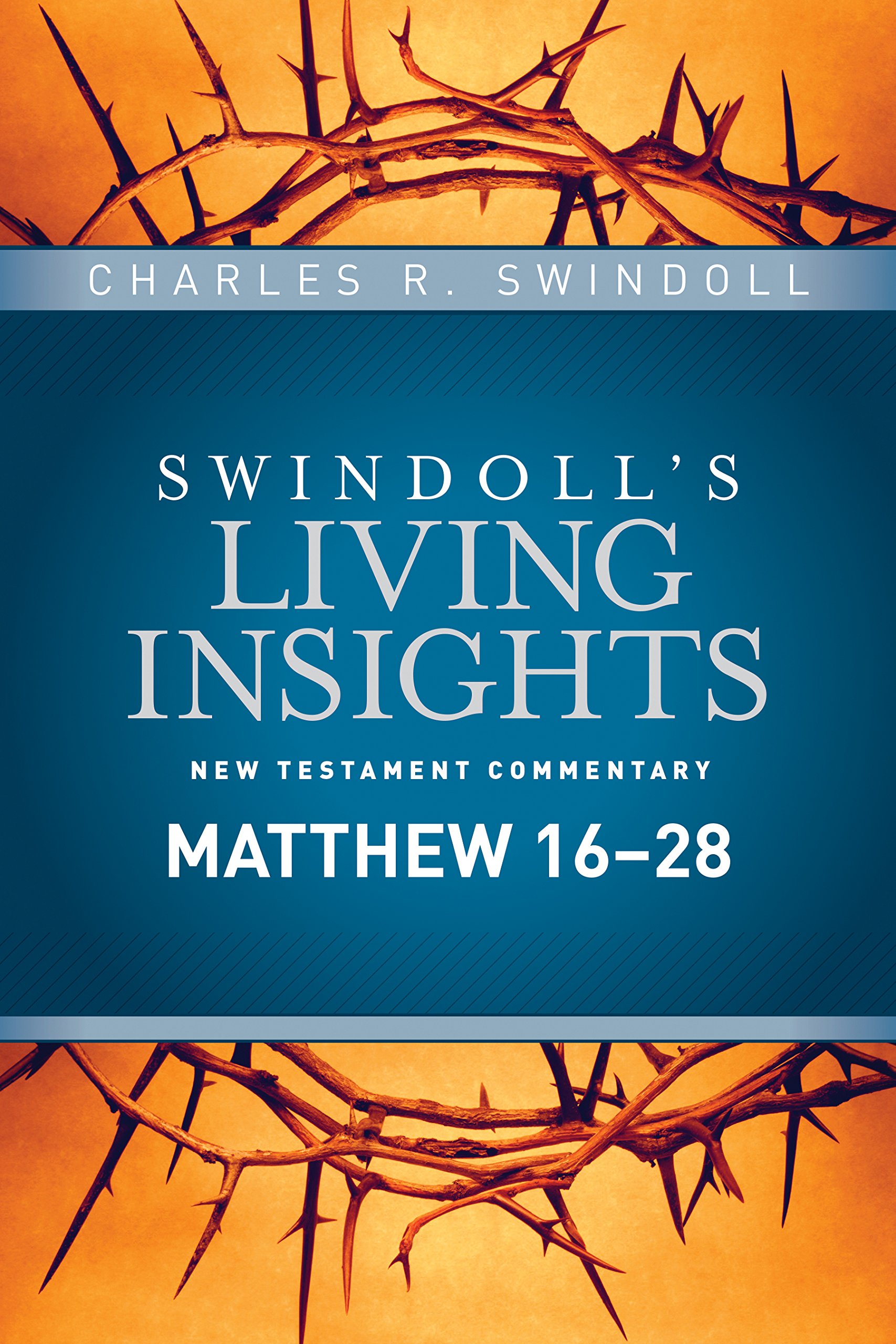 Insights on Matthew 16--28 book cover