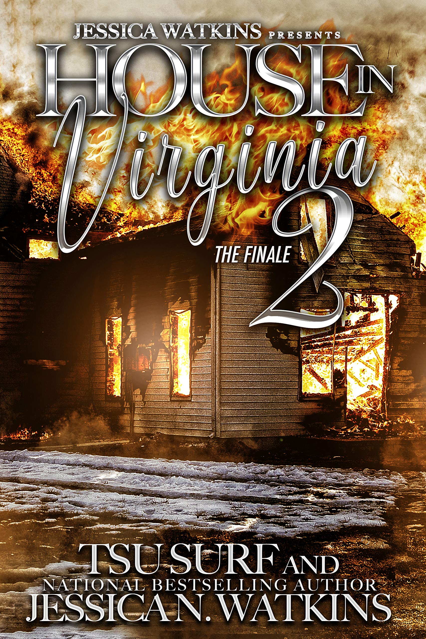 House In Virginia 2 book cover