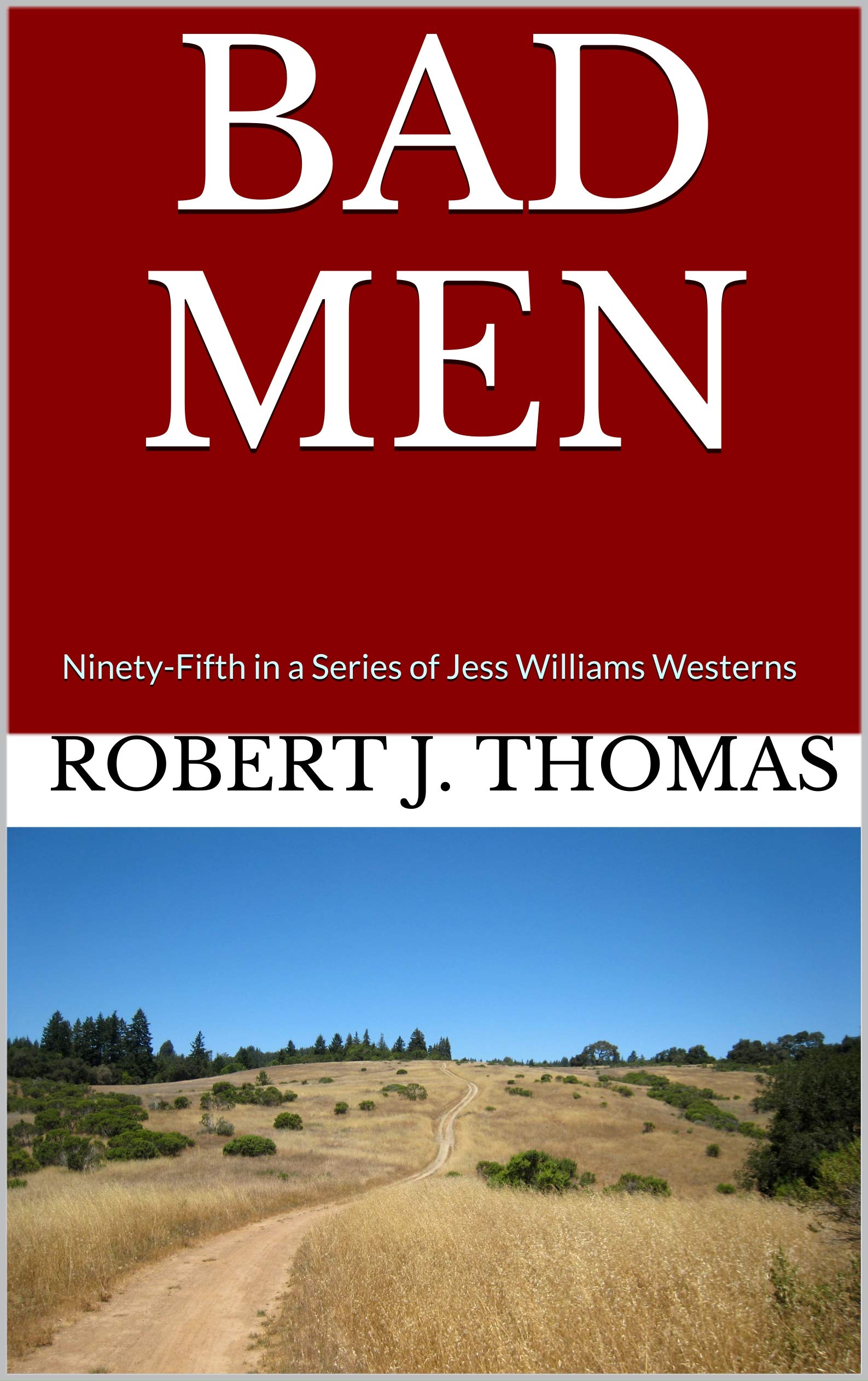 Bad Men book cover
