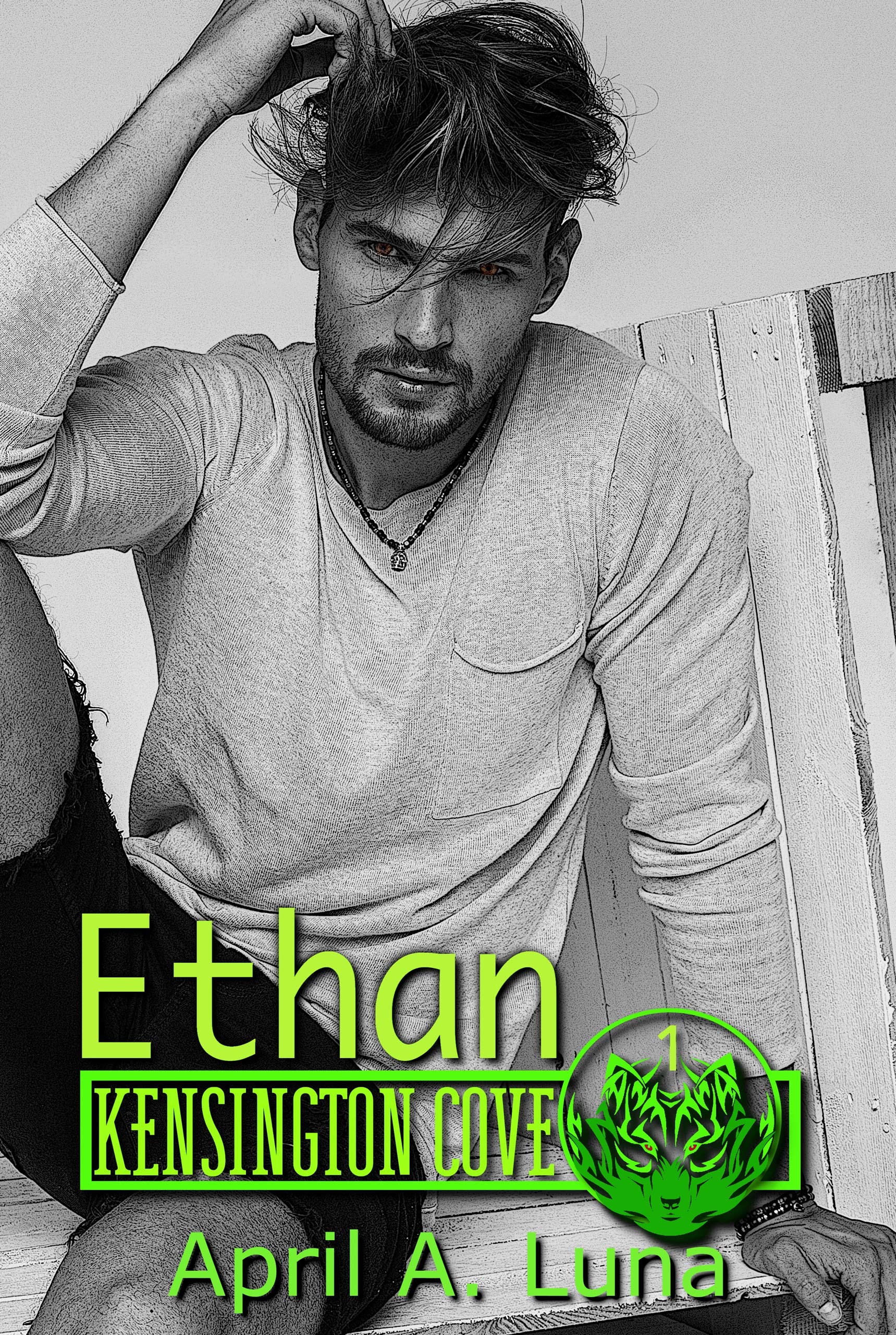 Ethan book cover