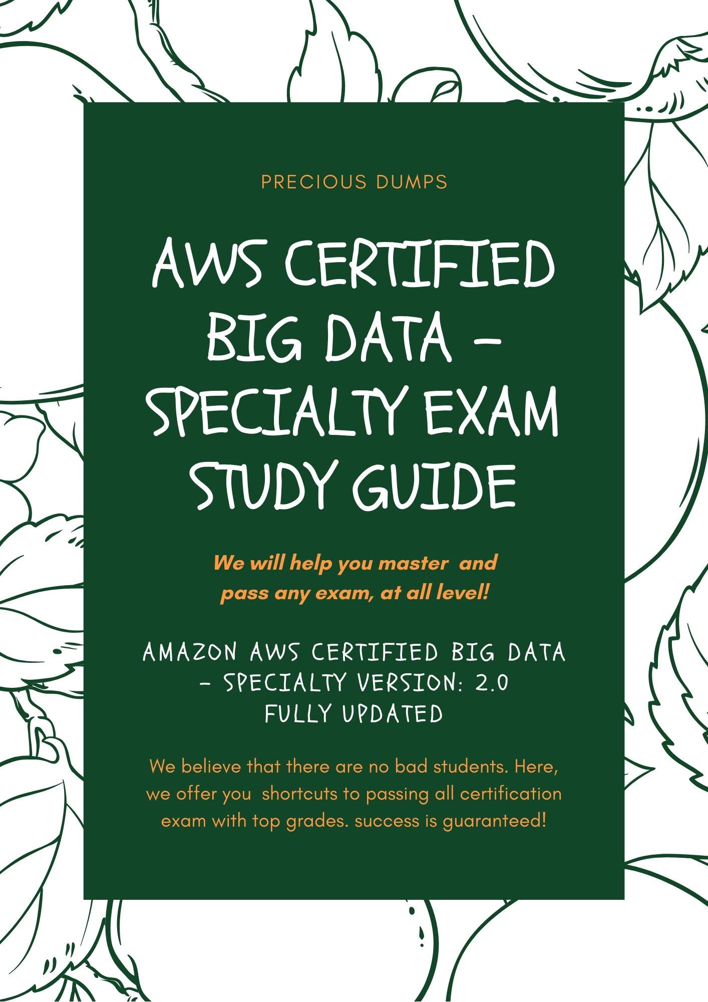 AWS Certified Big Data Specialty Exam Study Guide Amazon AWS
