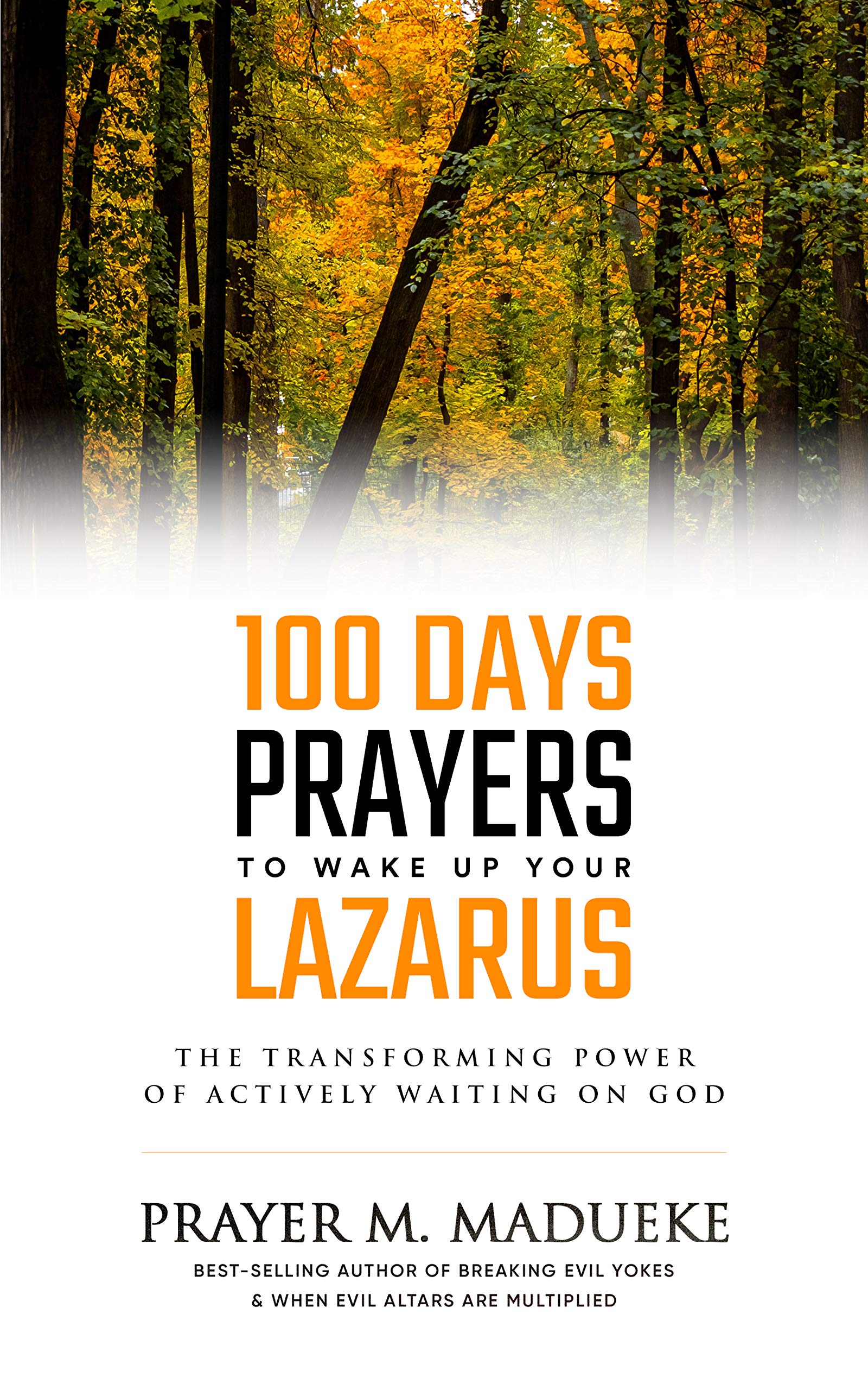 100 Days Prayers to Wake Up Your Lazarus in 2023 The Transforming