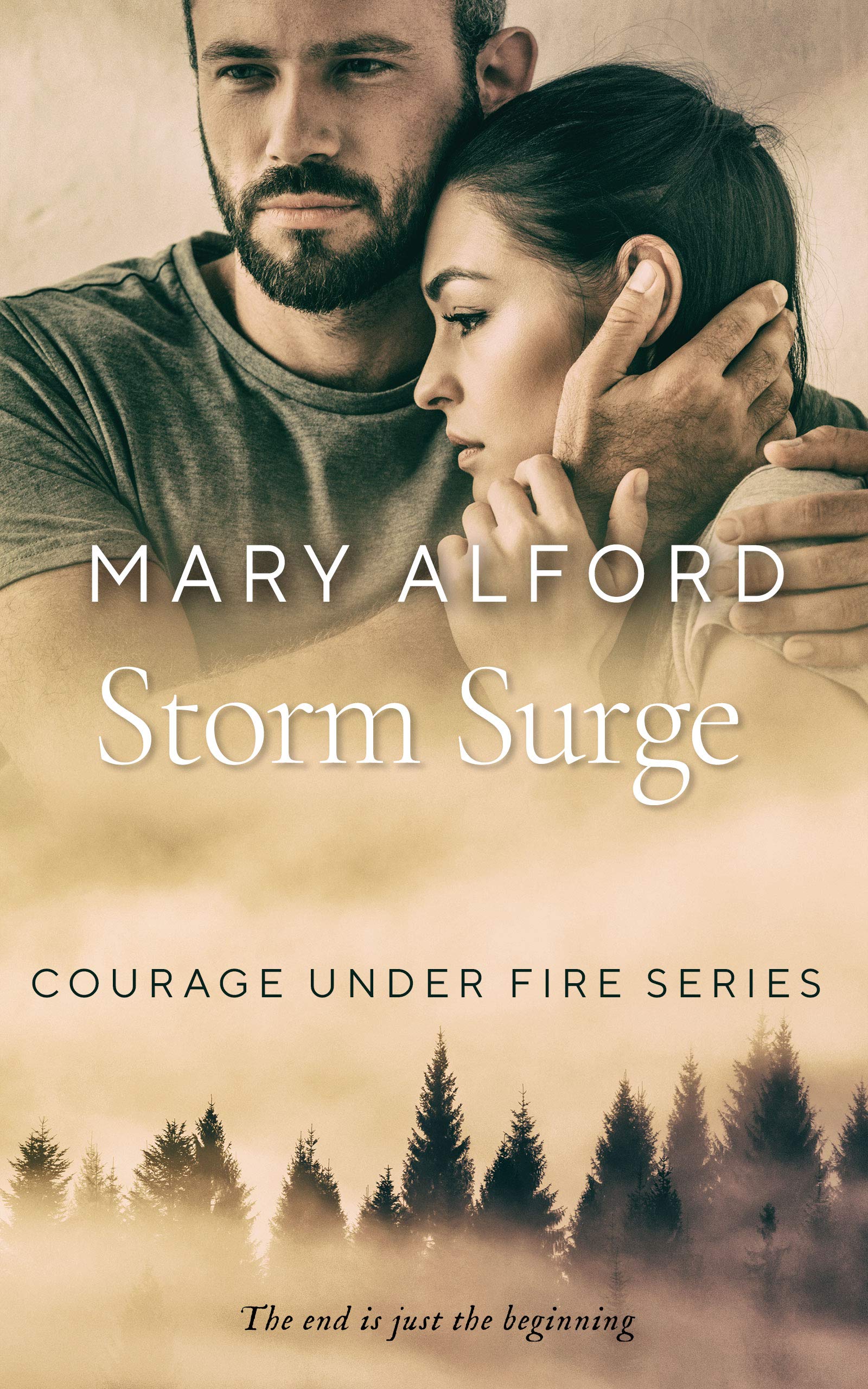 Storm Surge book cover