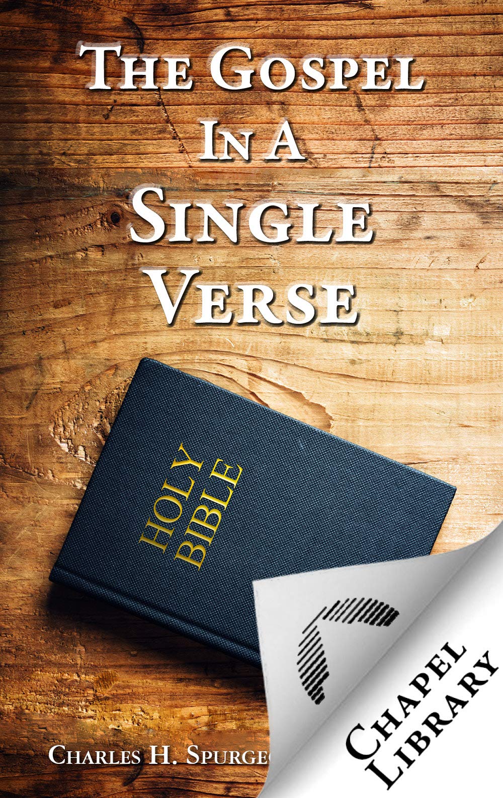 The Gospel in a Single Verse